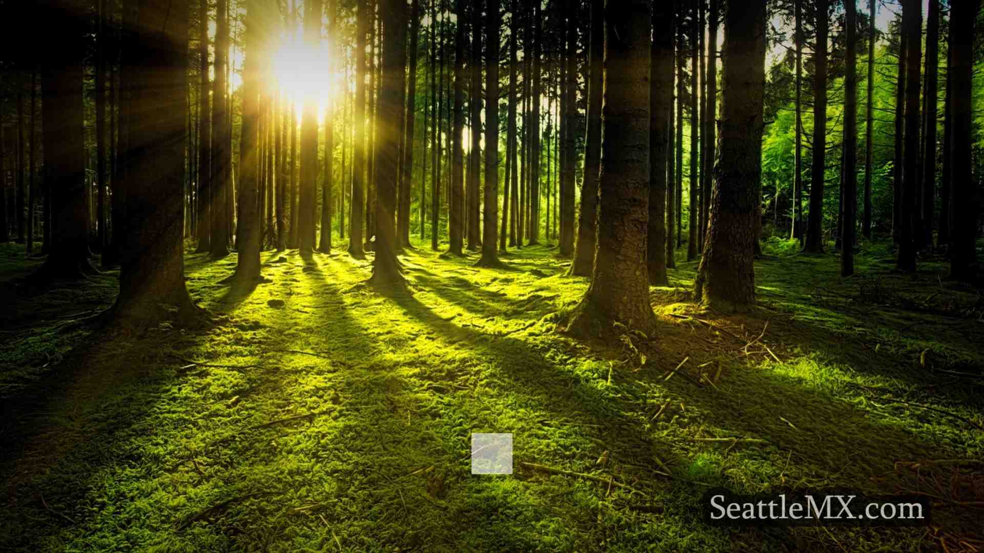 Noticias de Seattle SeattleMX