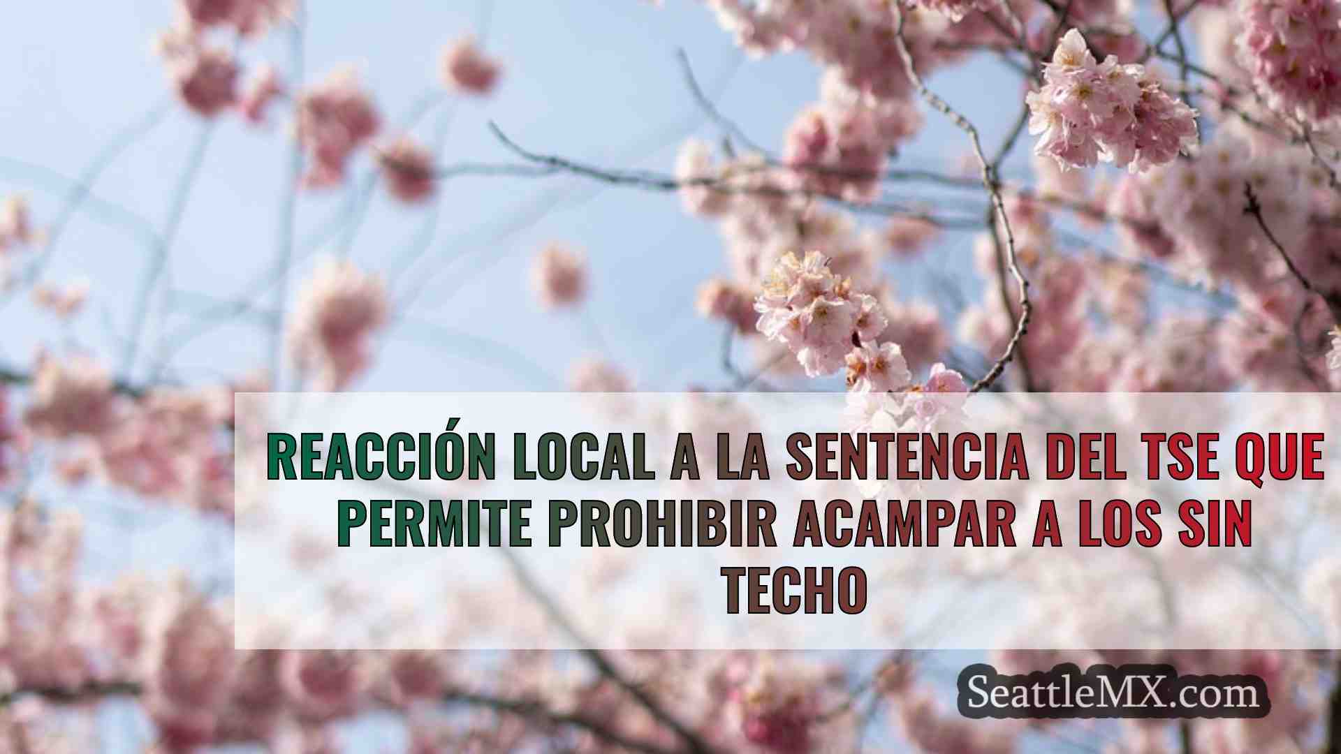 Reacción local a la sentencia del TSE