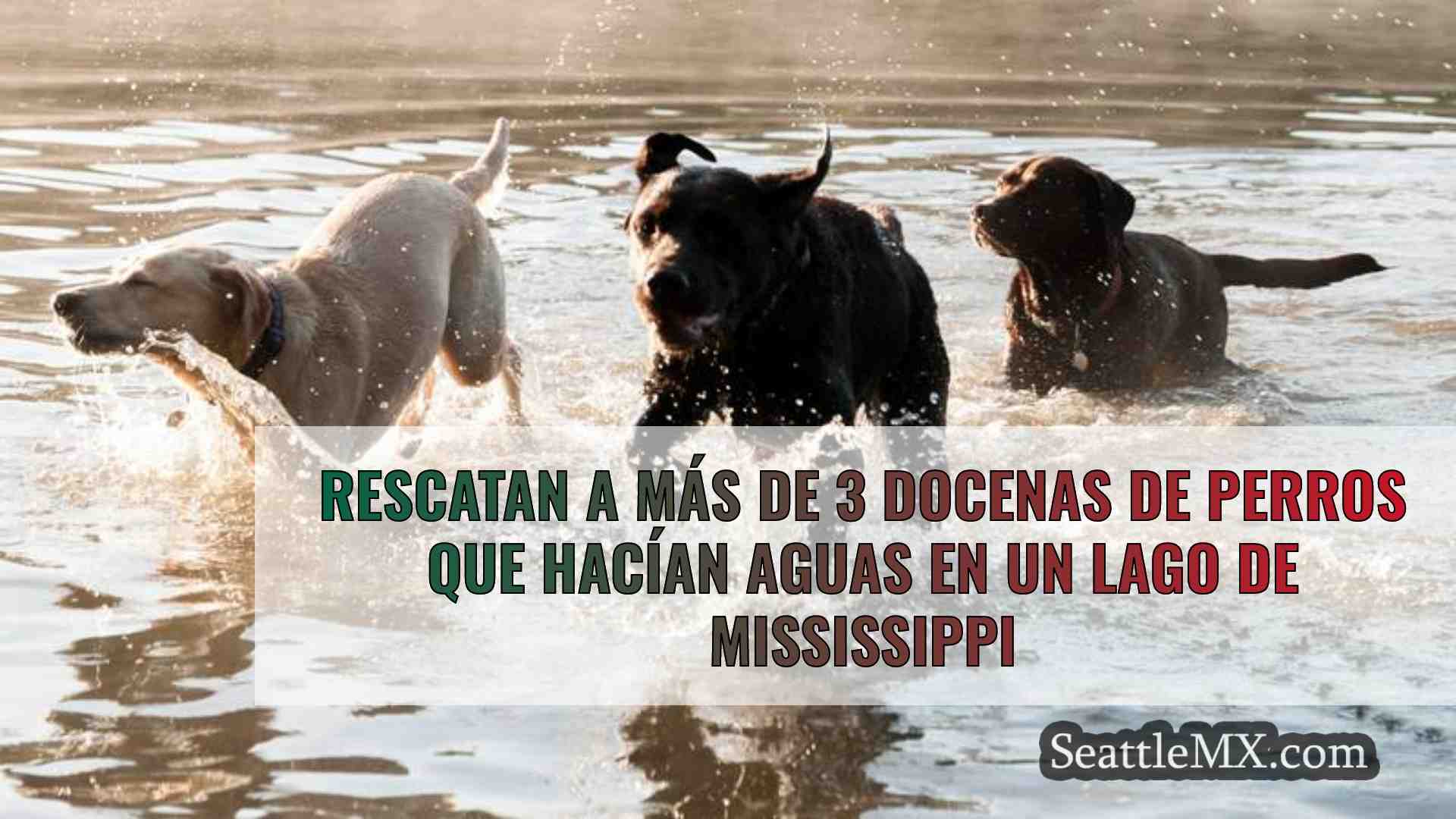 Un equipo de pescadores rescata a más