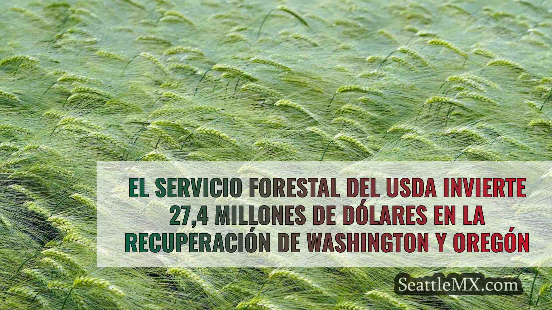 Noticias de Seattle SeattleMX