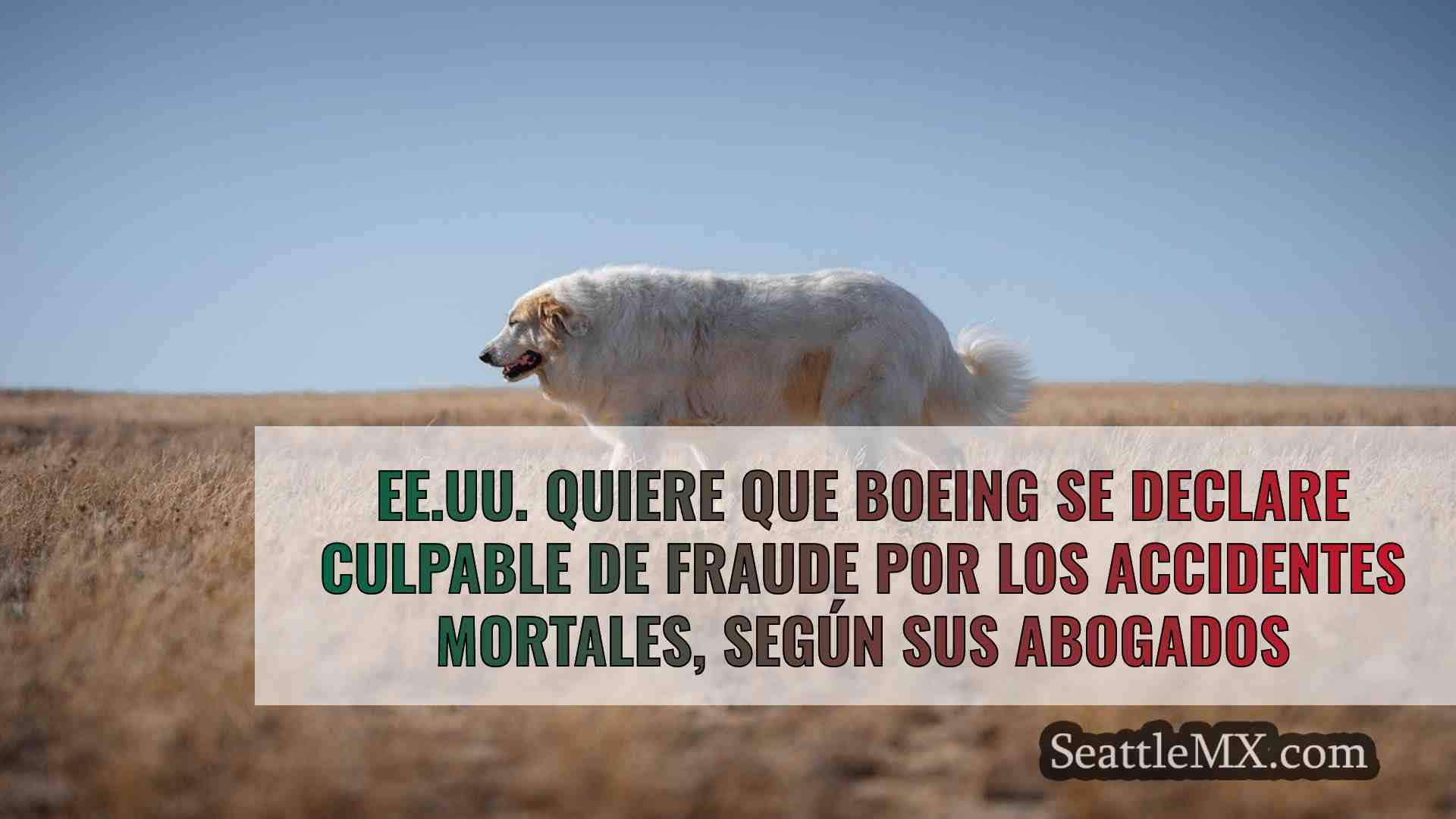 Noticias de Seattle SeattleMX