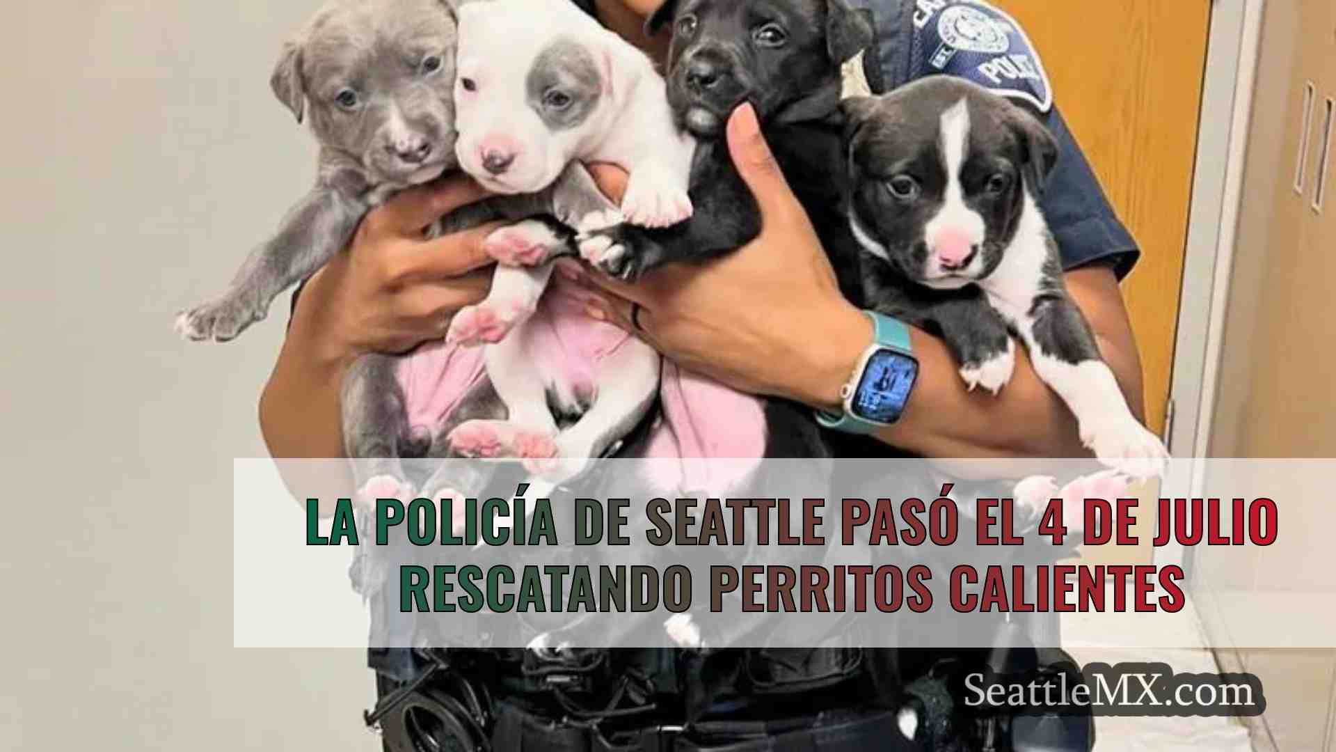 La policía de Seattle pasó el 4 de