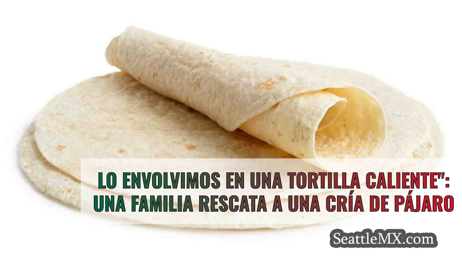 Lo envolvimos en una tortilla caliente: