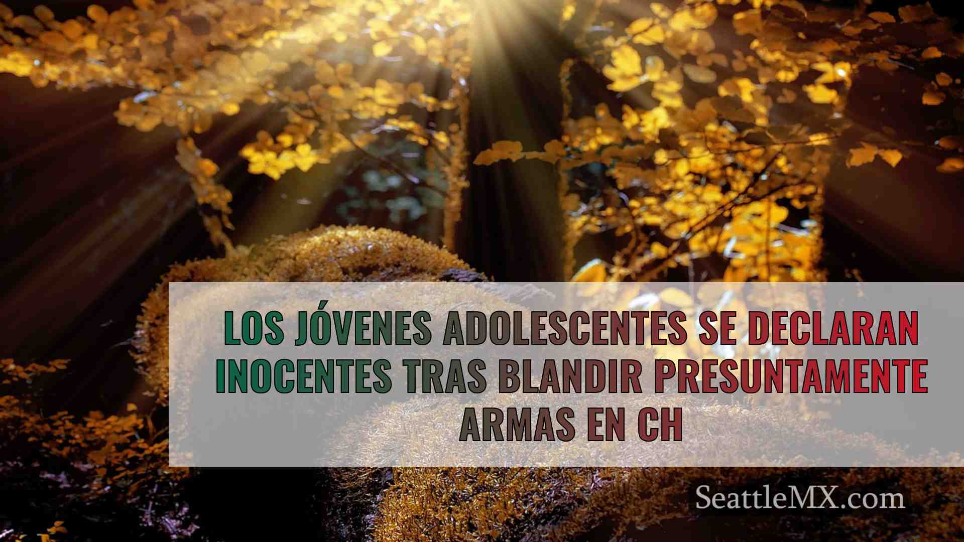 Noticias de Seattle SeattleMX