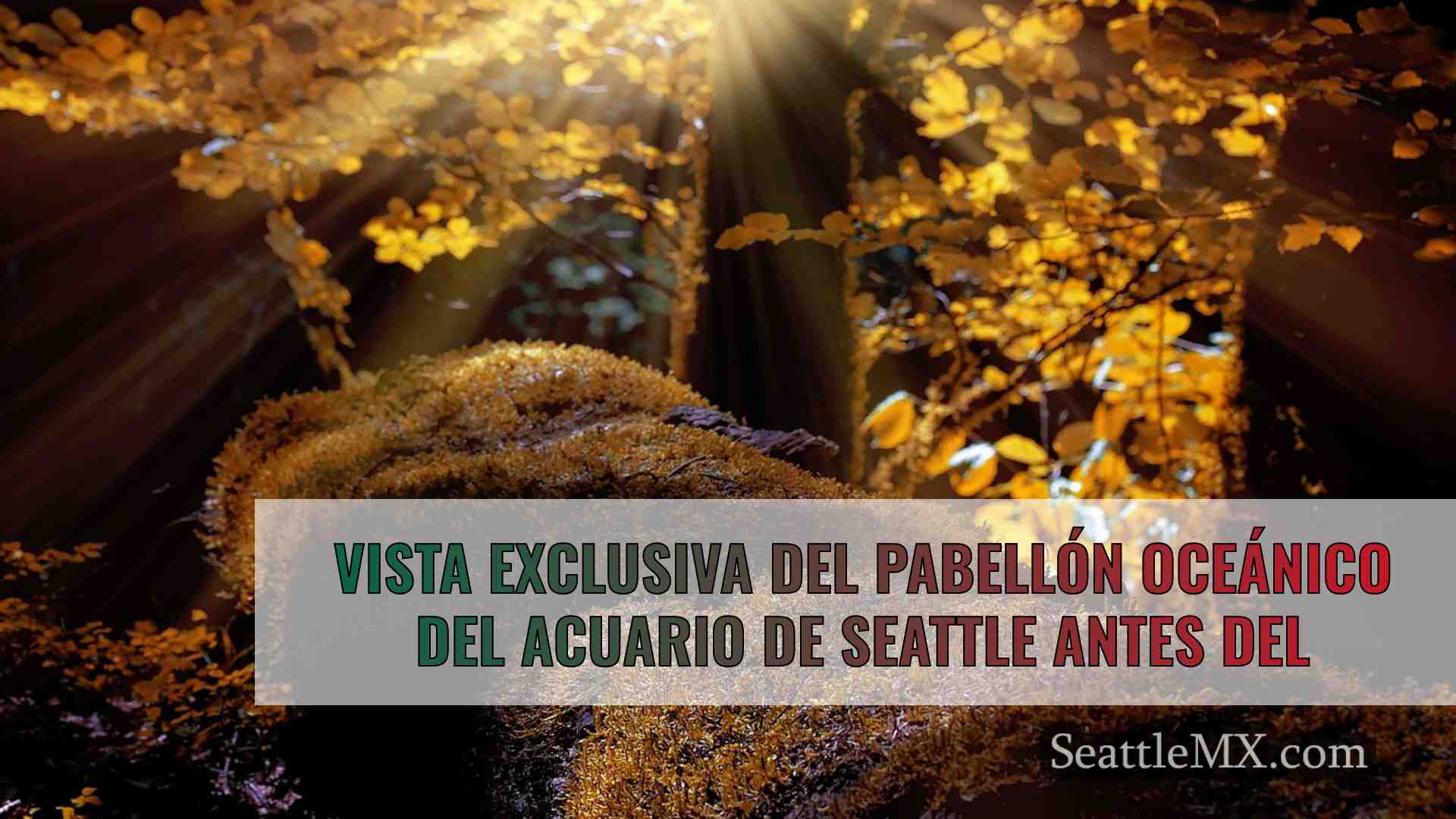 Noticias de Seattle SeattleMX