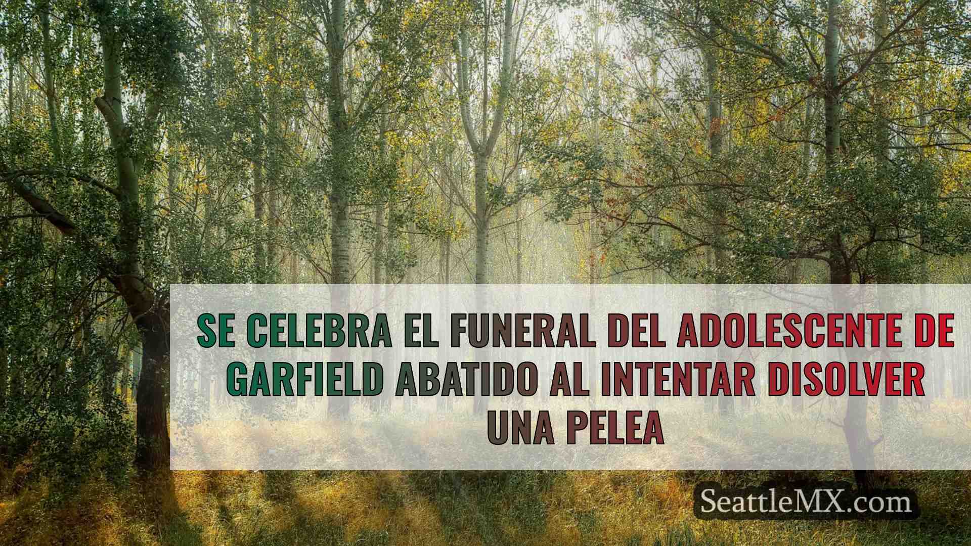 Noticias de Seattle SeattleMX