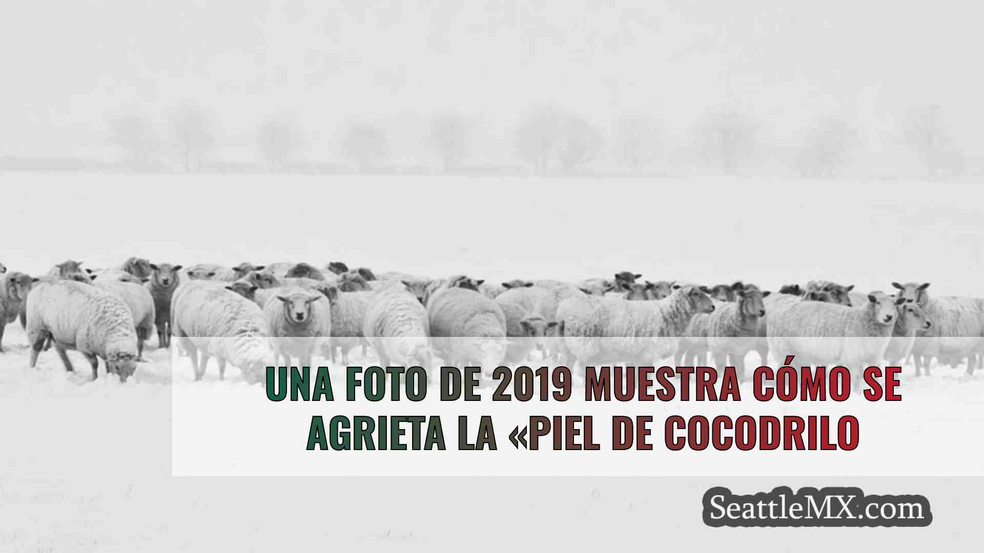 Noticias de Seattle SeattleMX