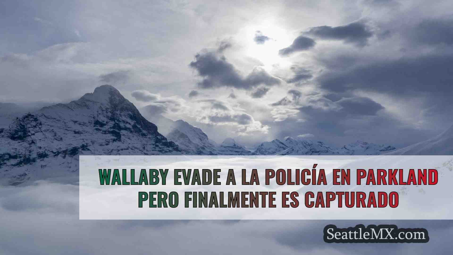 Noticias de Seattle SeattleMX