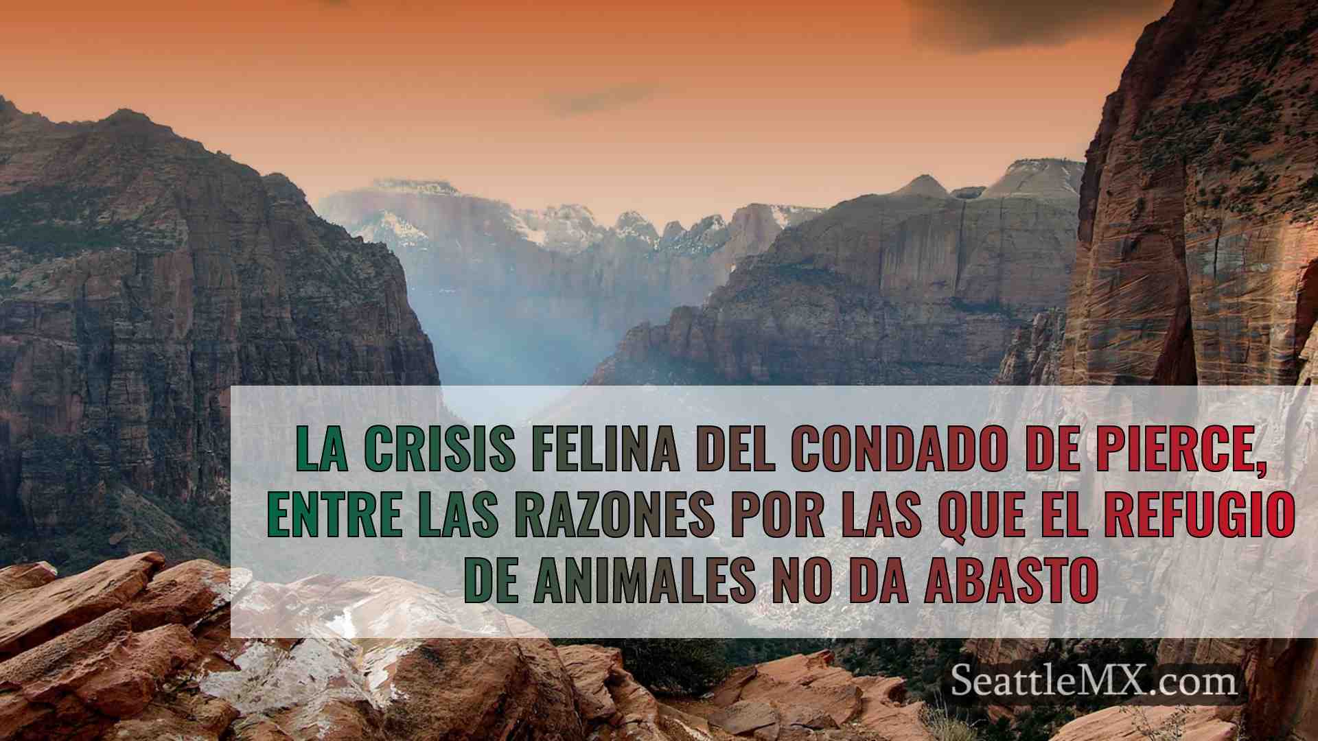 Noticias de Seattle SeattleMX