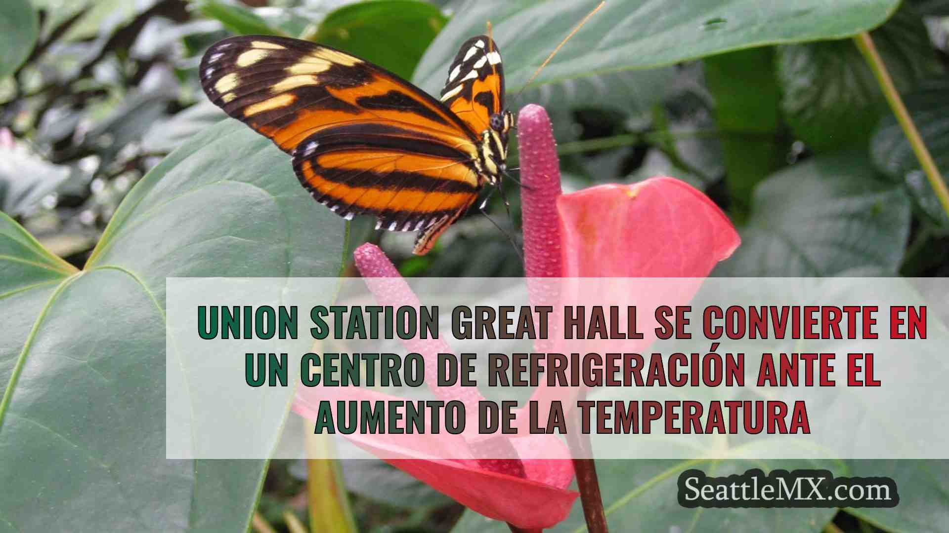 Noticias de Seattle SeattleMX