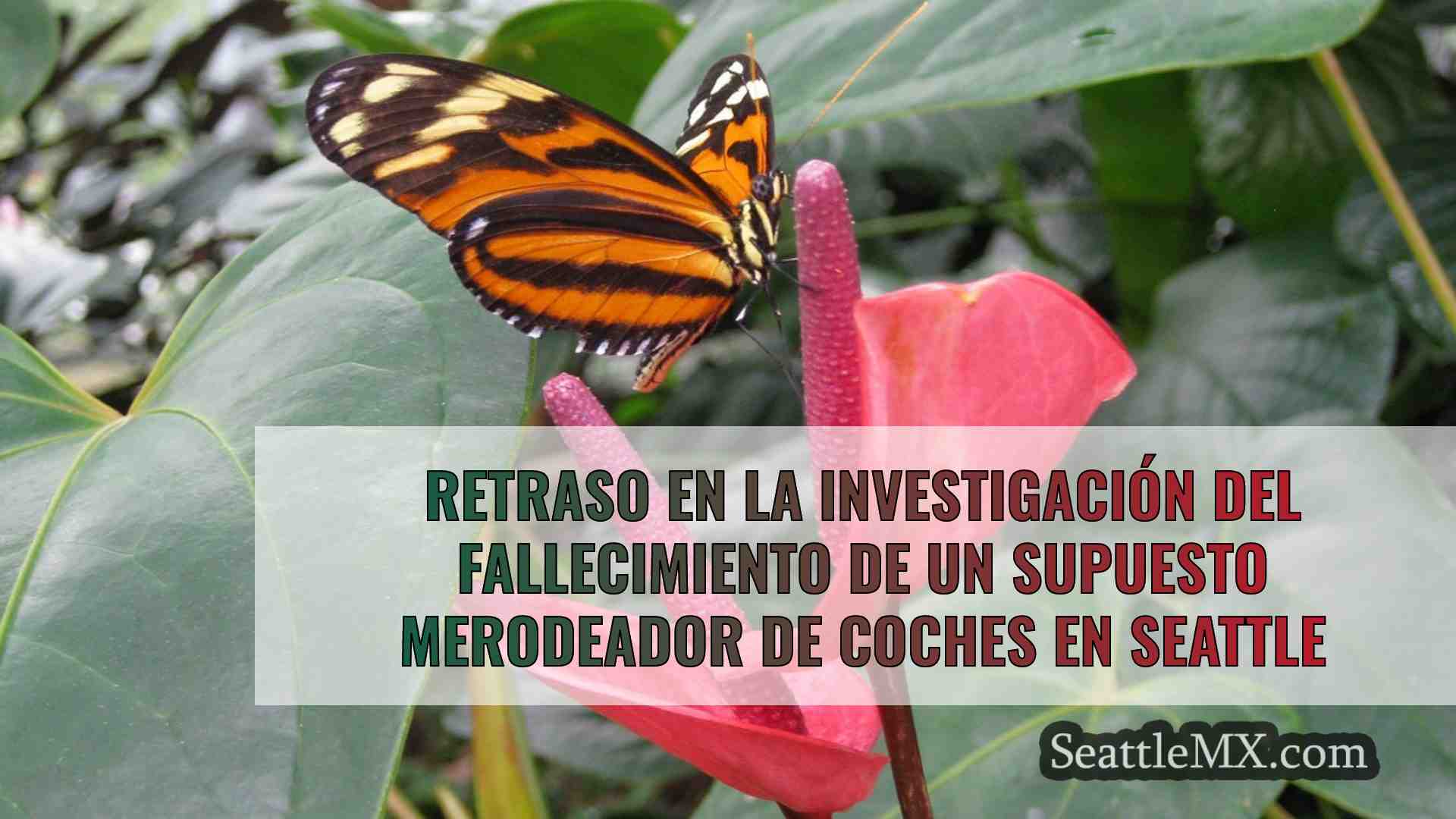Noticias de Seattle SeattleMX