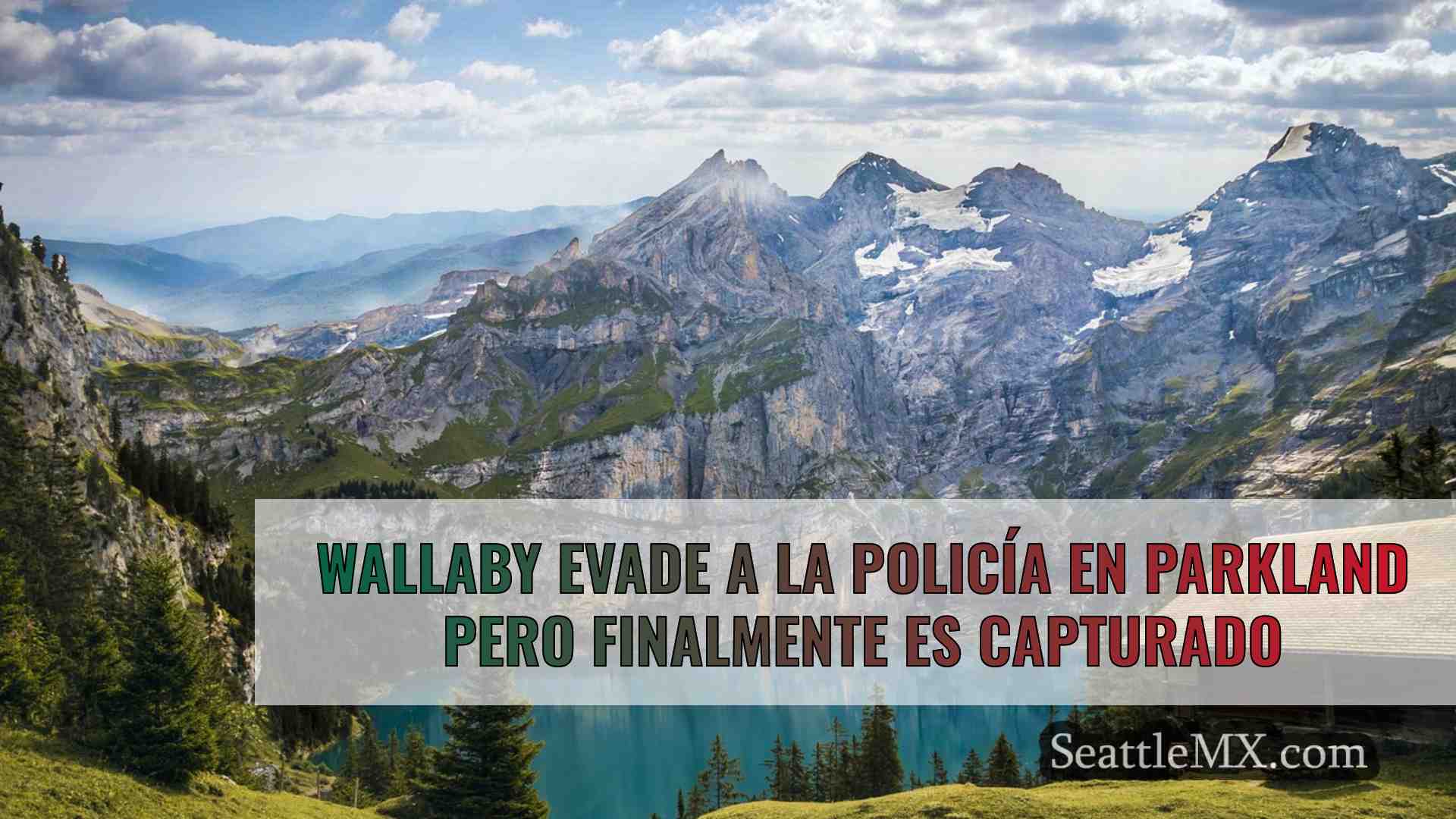Noticias de Seattle SeattleMX