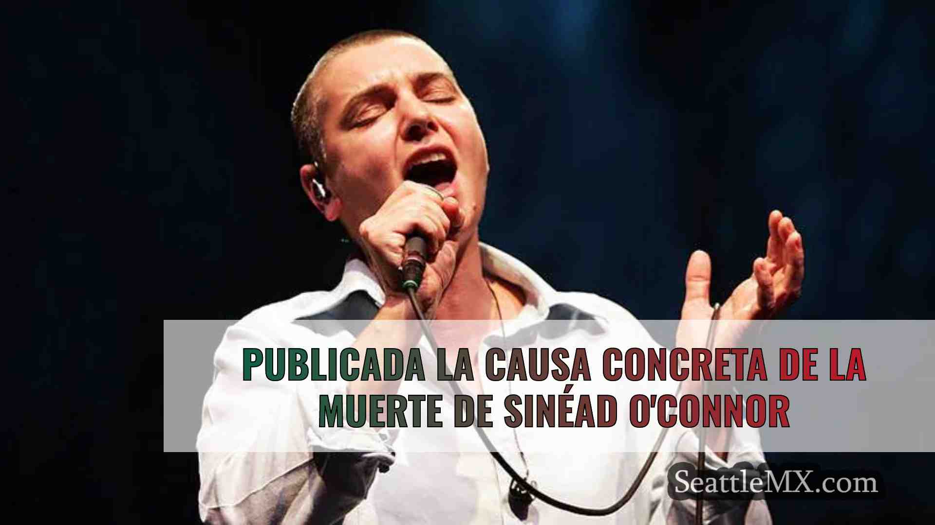 Publicada la causa concreta de la