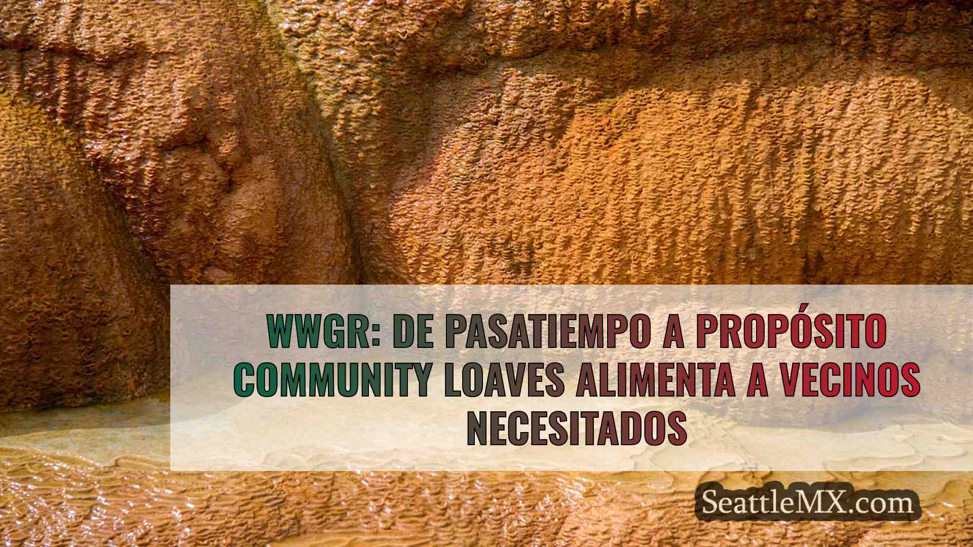 Noticias de Seattle SeattleMX