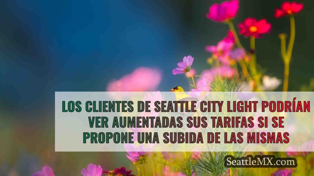 Los clientes de Seattle City Light