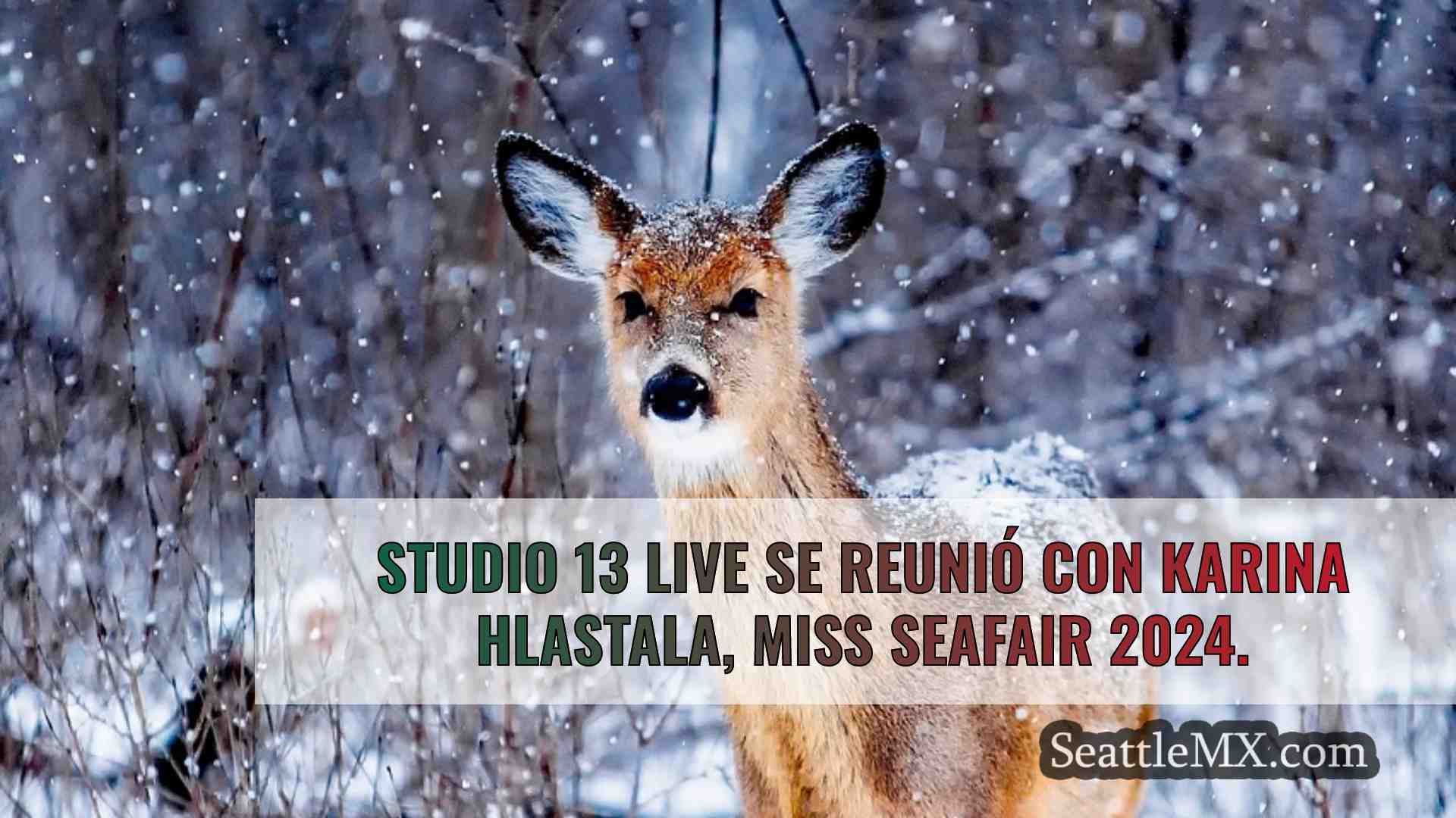 Noticias de Seattle SeattleMX