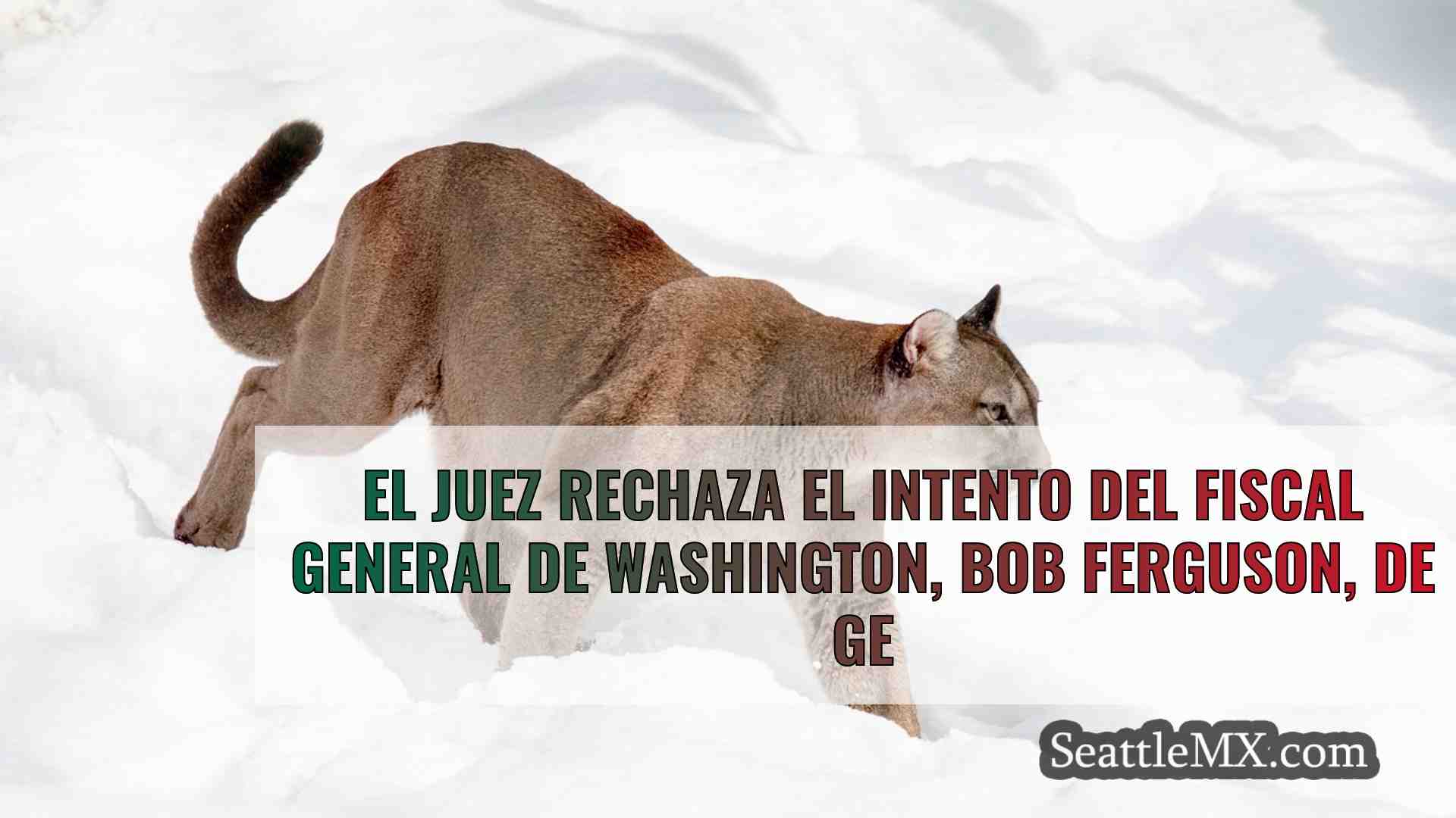 Noticias de Seattle SeattleMX