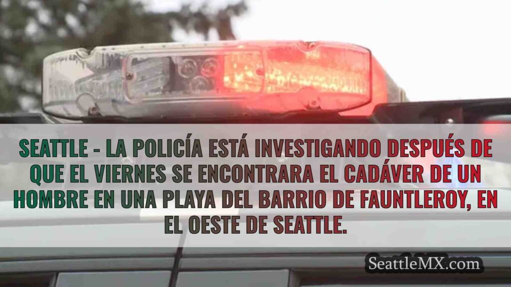 Cuerpo encontrado en la playa en el