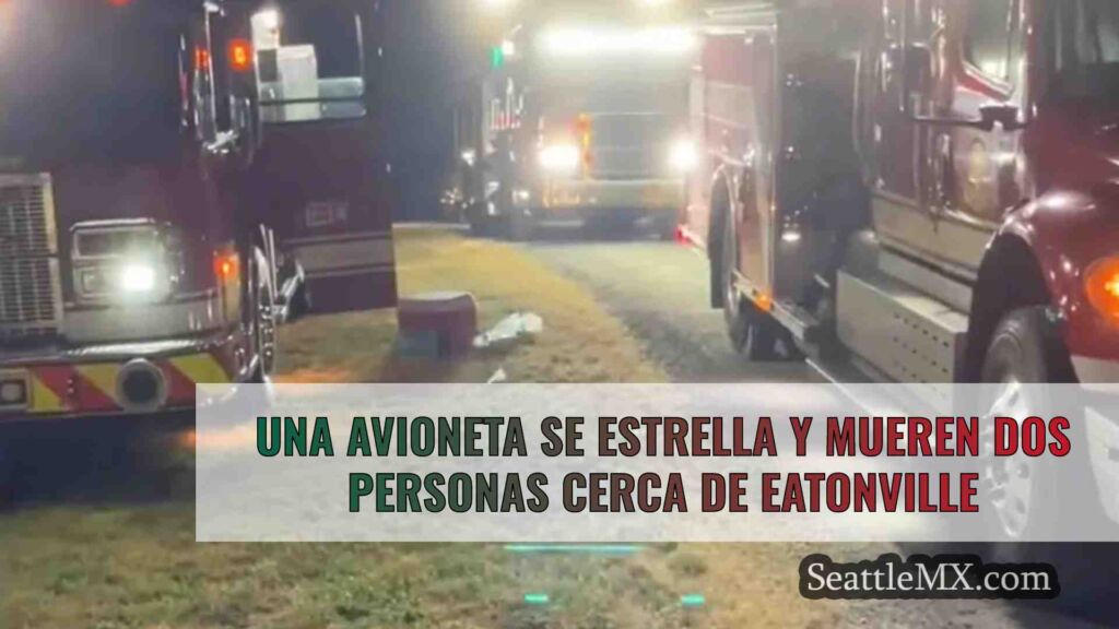 Una avioneta se estrella y mueren dos