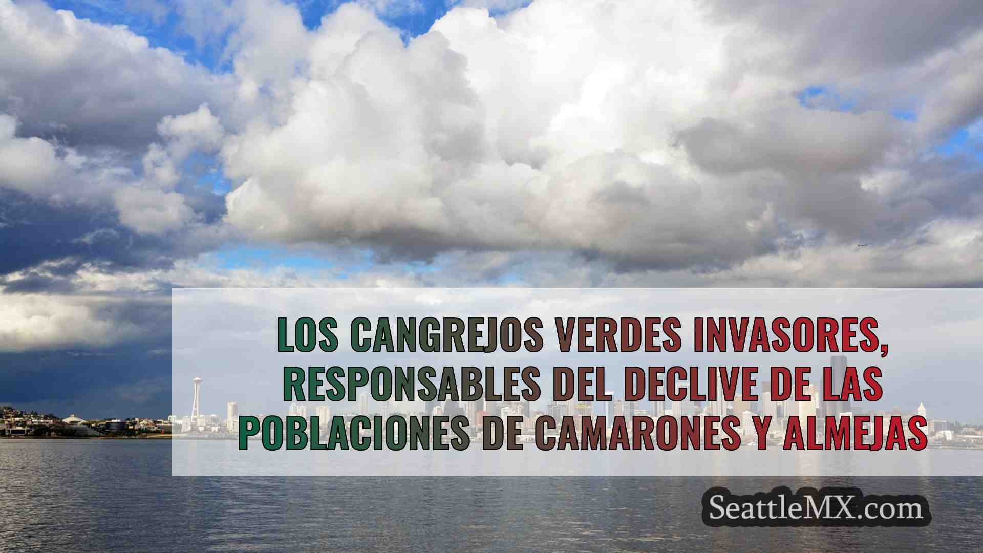 Noticias de Seattle SeattleMX