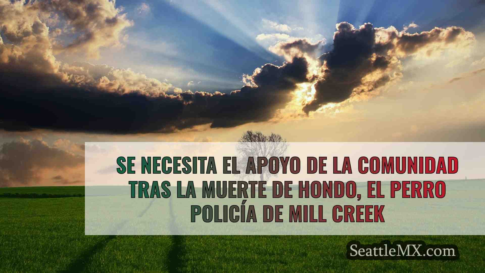 Noticias de Seattle SeattleMX