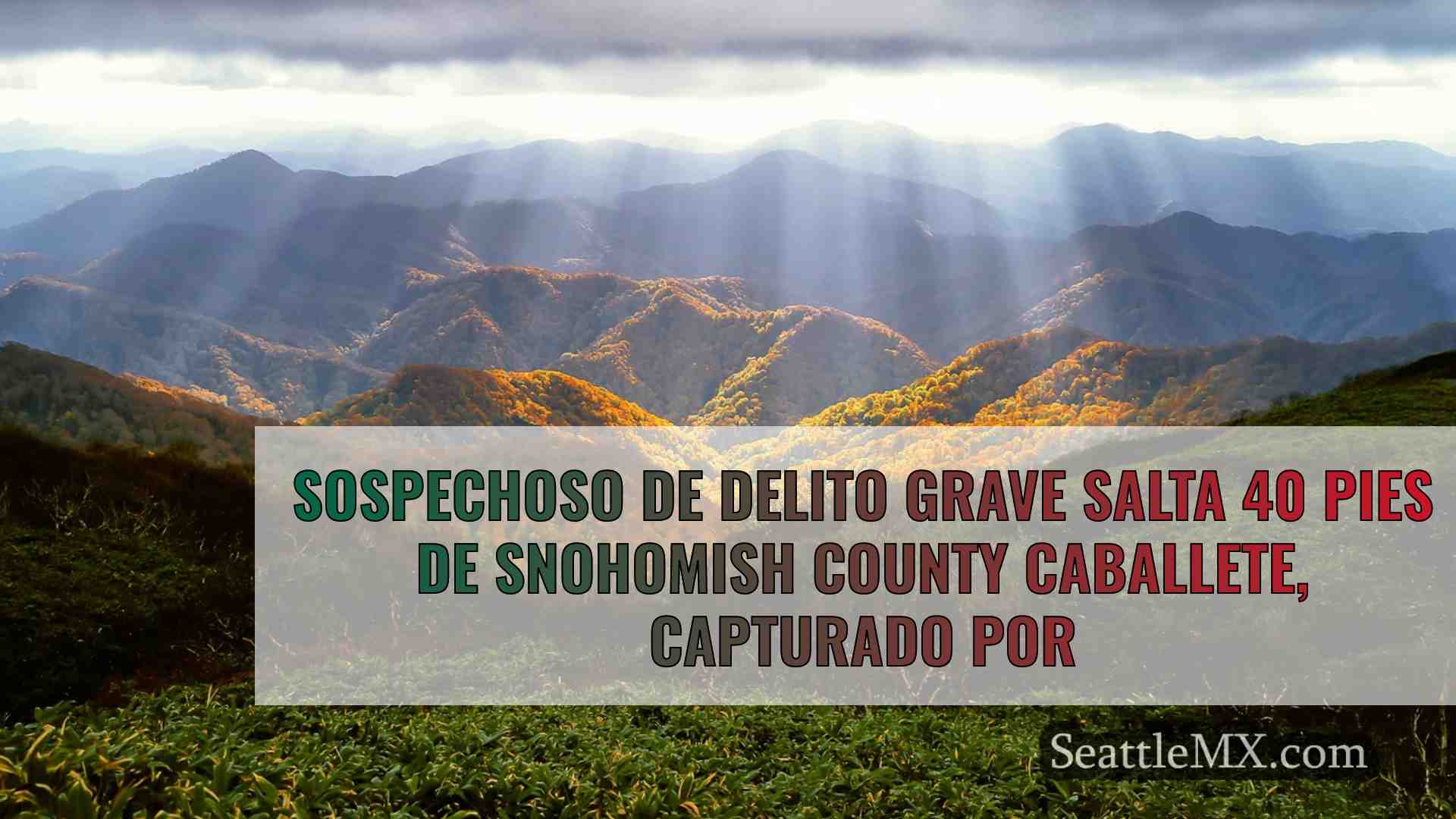 Noticias de Seattle SeattleMX