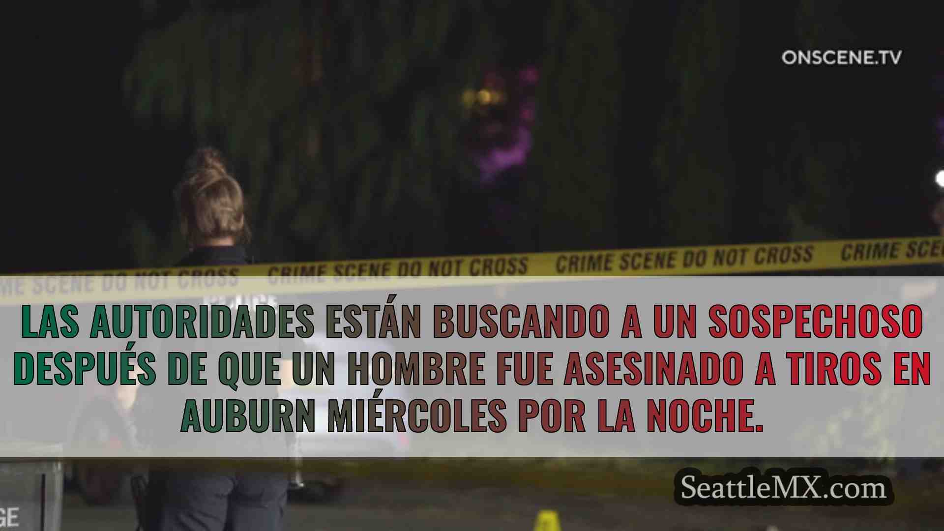 Noticias de Seattle SeattleMX