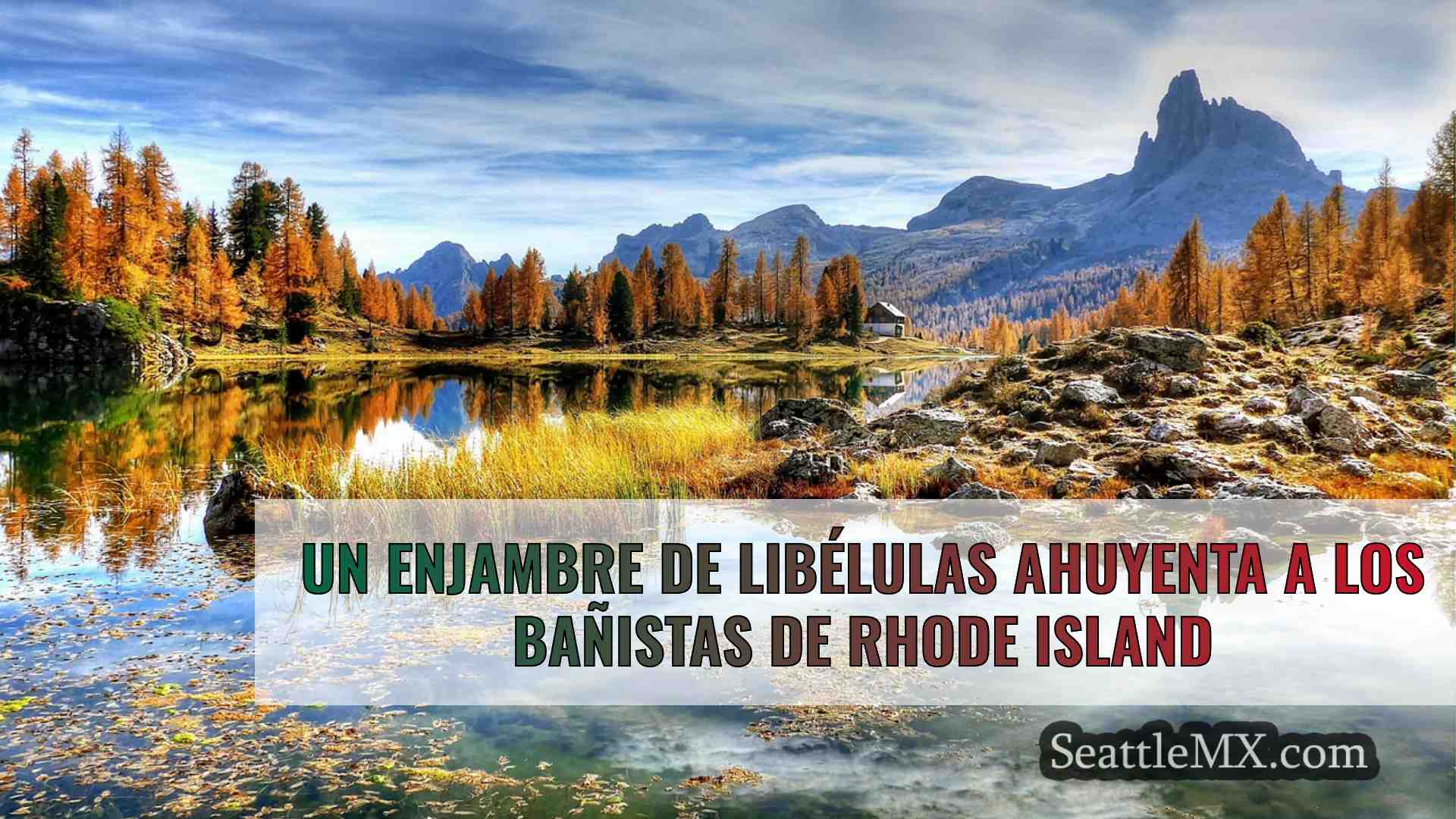 Noticias de Seattle SeattleMX