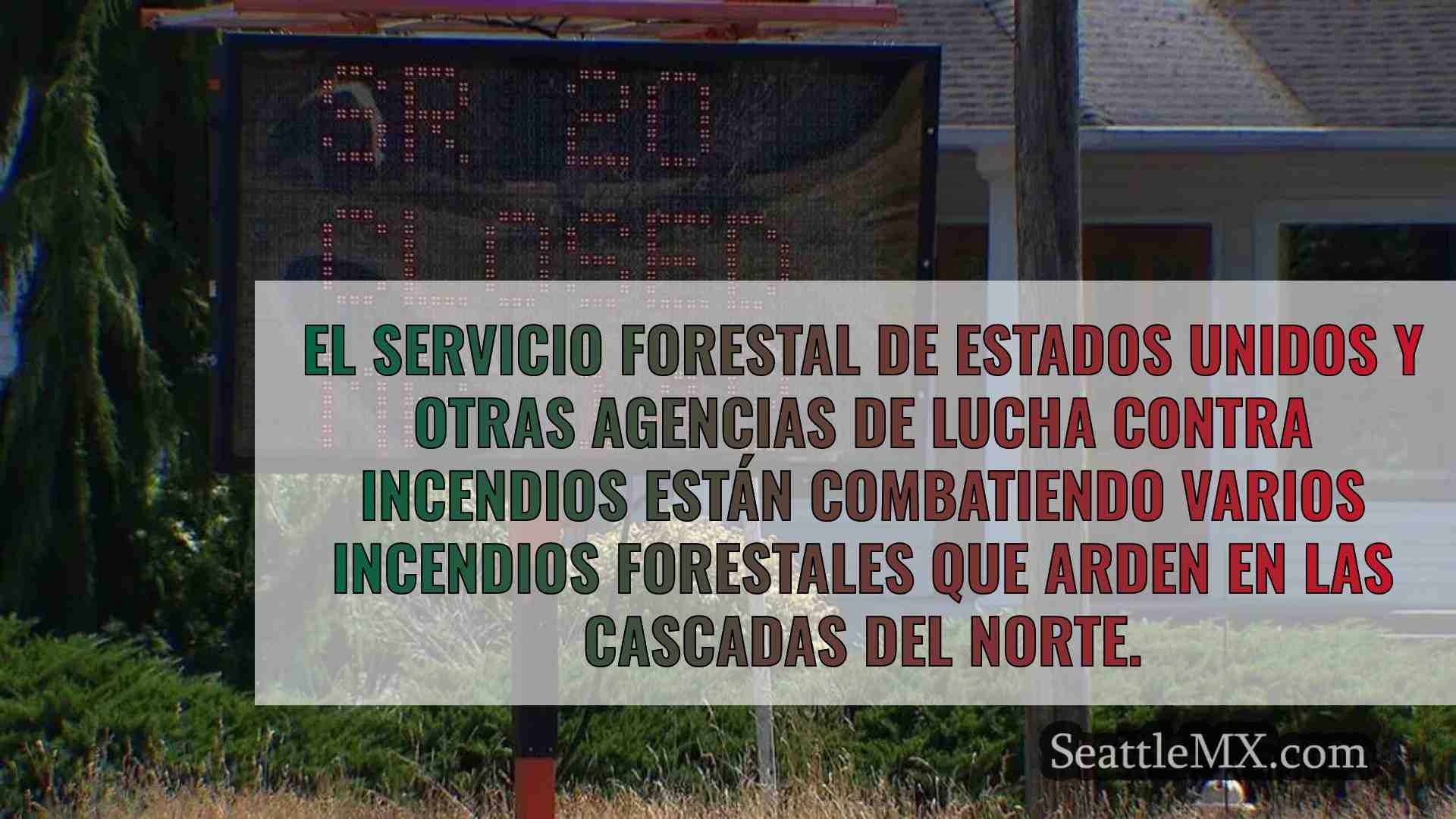 Varios incendios de gran magnitud en