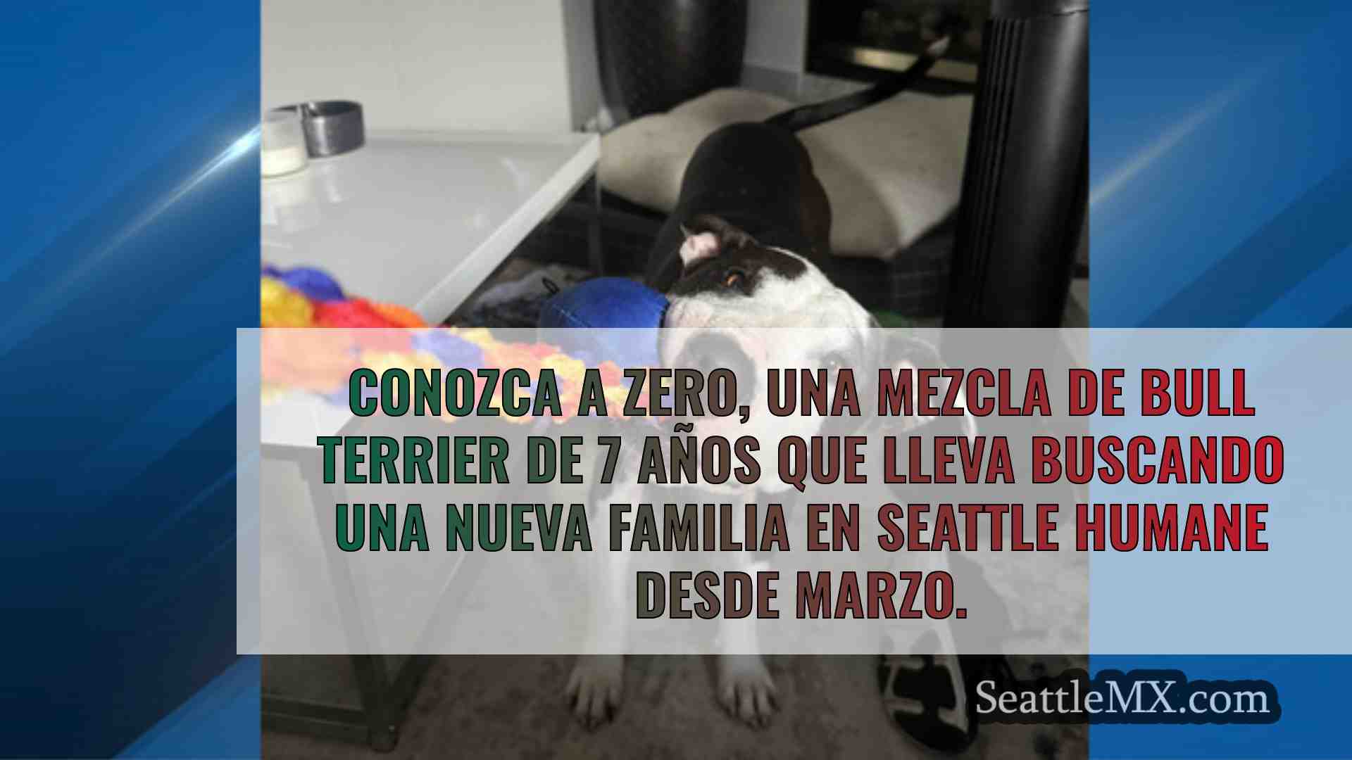 Noticias de Seattle SeattleMX