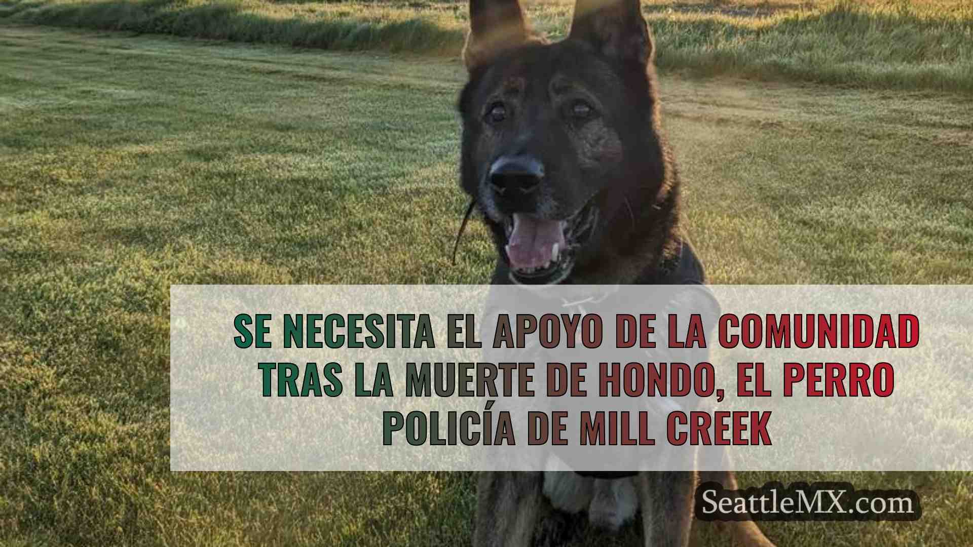 Se necesita el apoyo de la comunidad