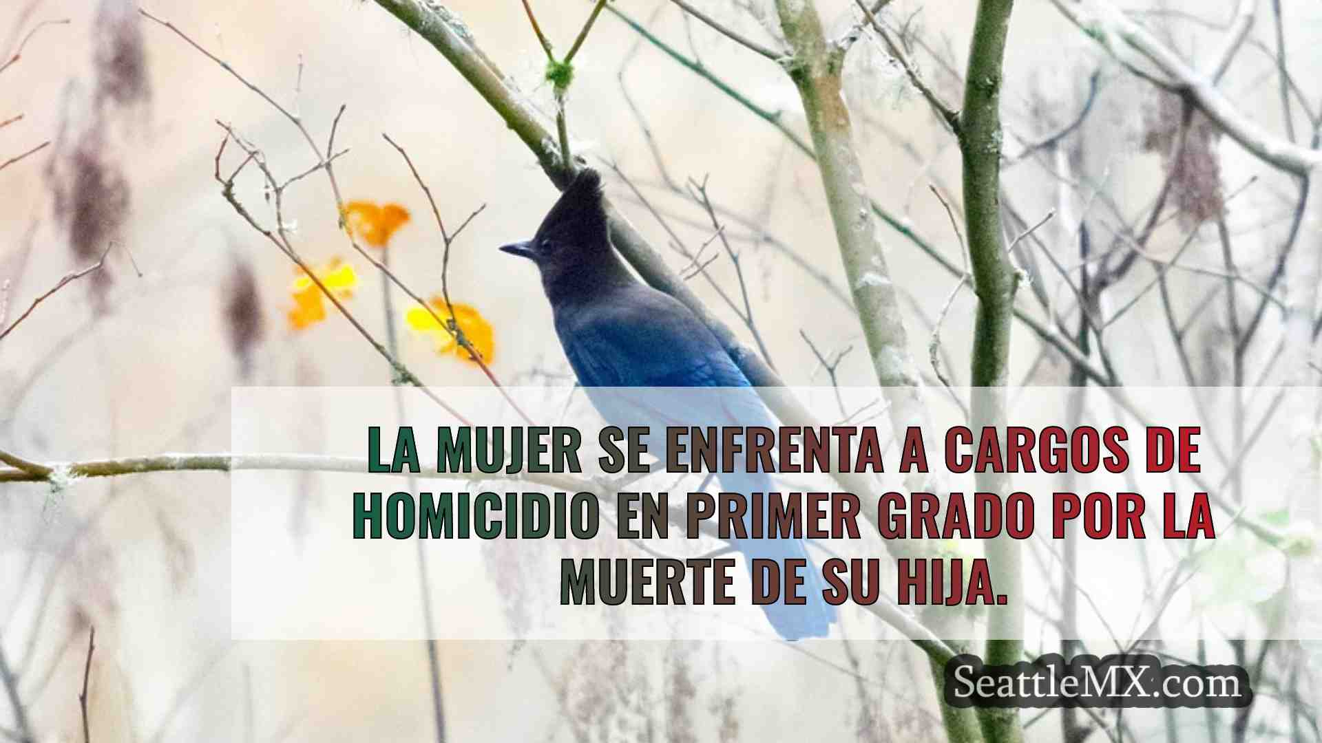 Noticias de Seattle SeattleMX