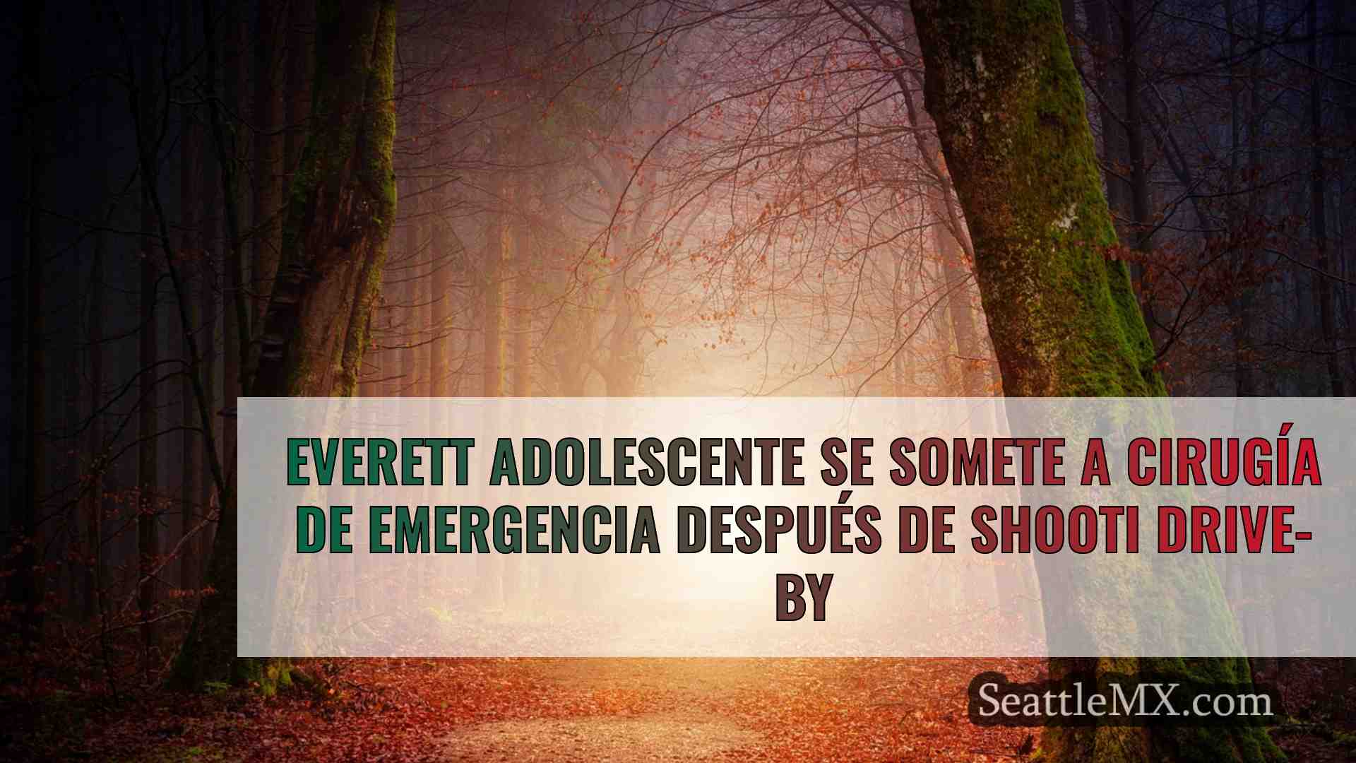 Noticias de Seattle SeattleMX