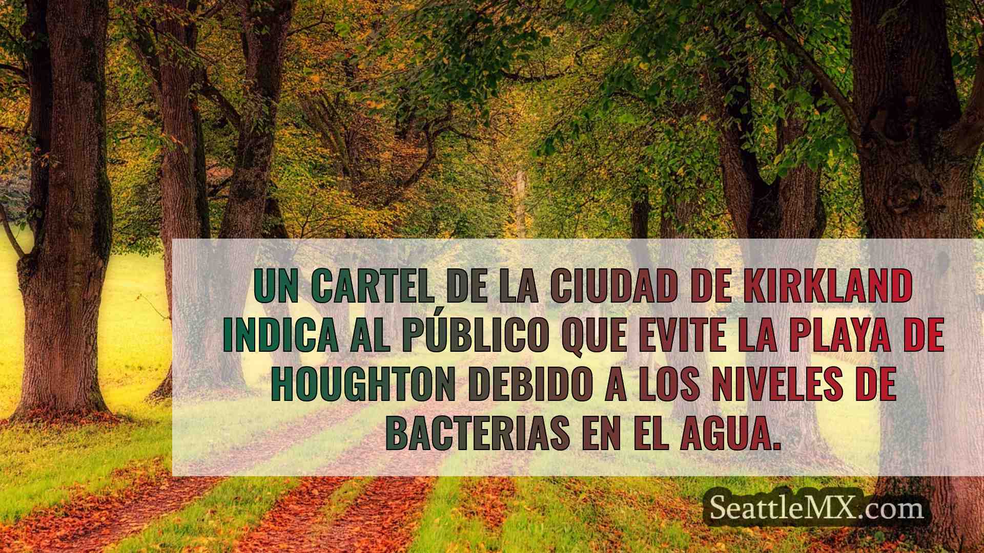 Noticias de Seattle SeattleMX