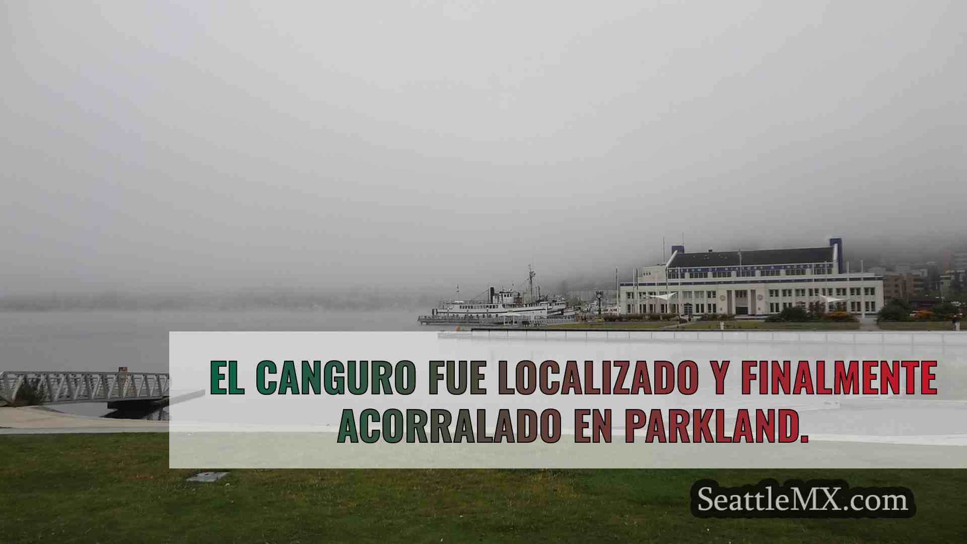 Noticias de Seattle SeattleMX