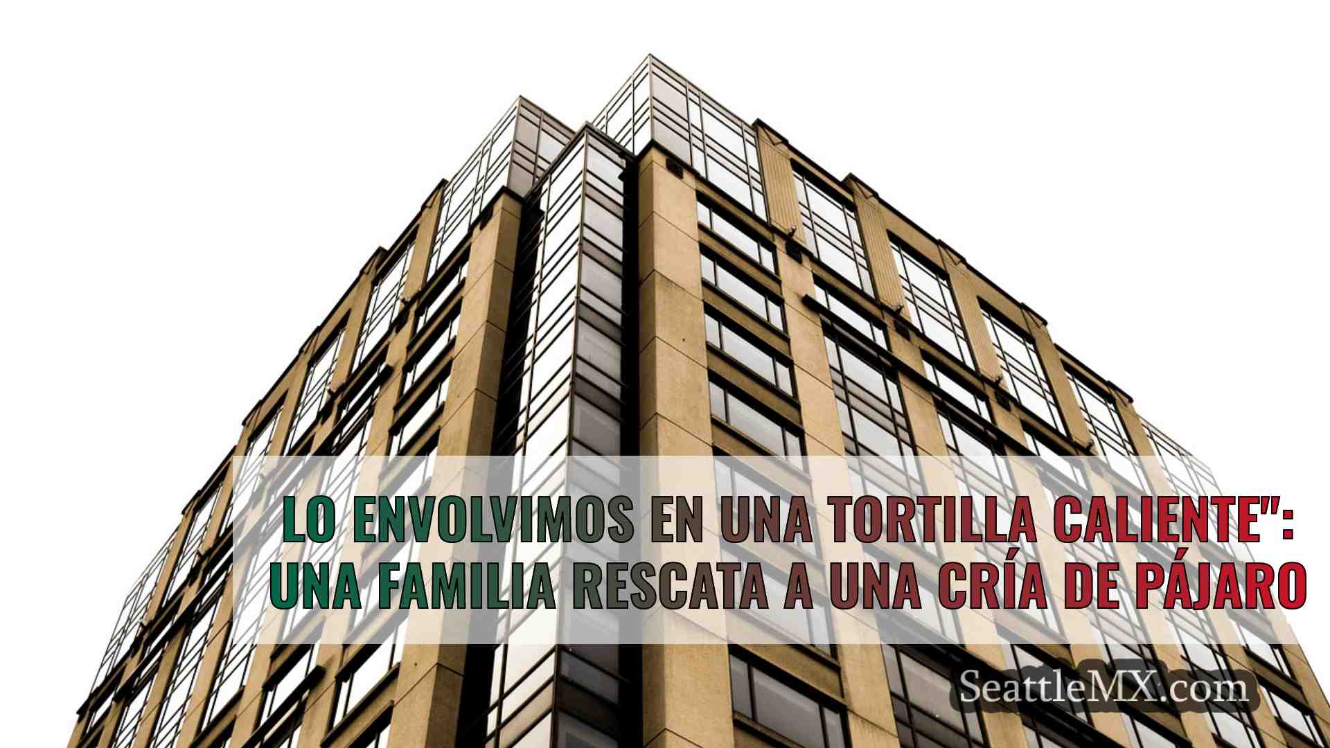 Noticias de Seattle SeattleMX