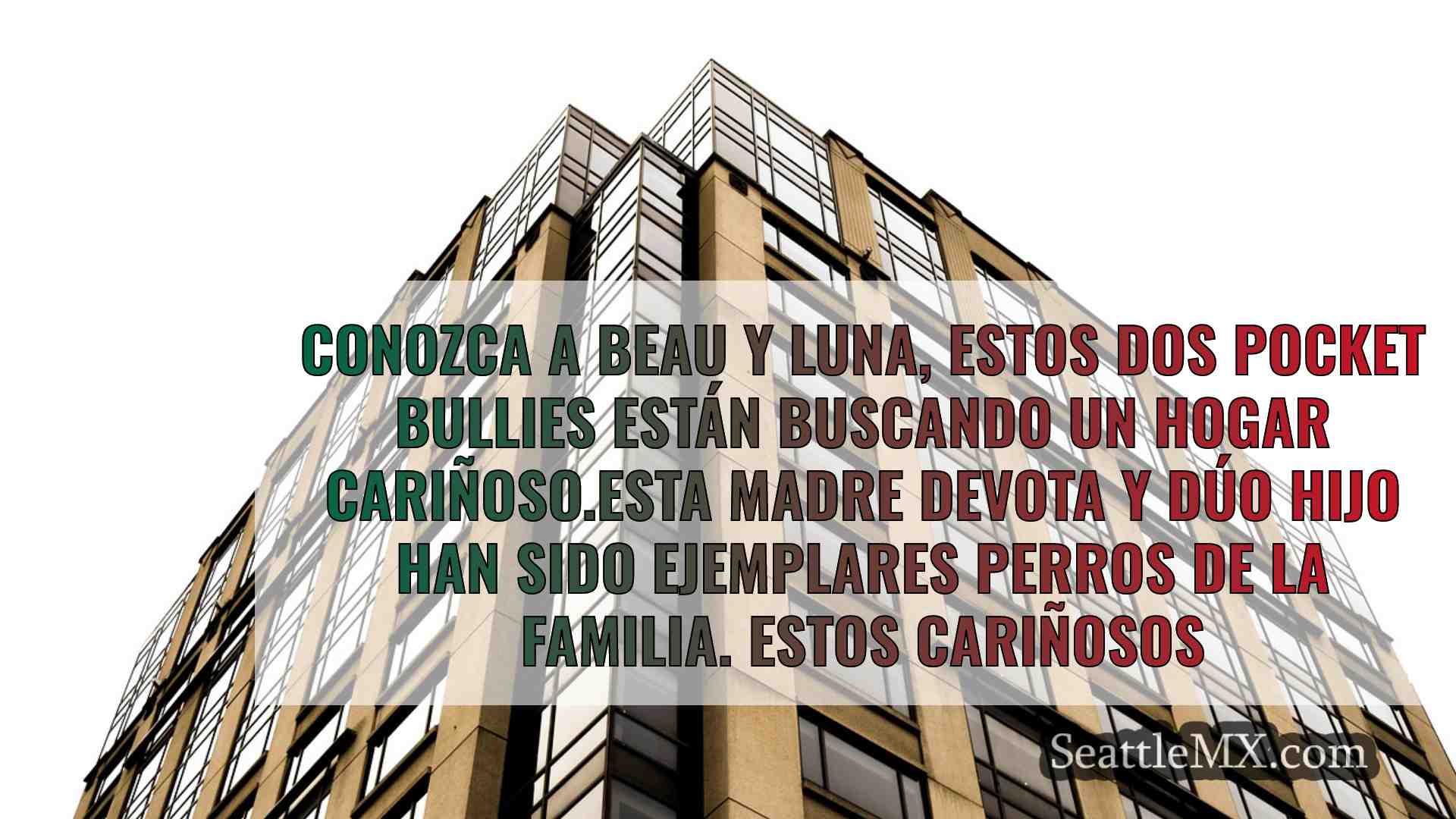 Noticias de Seattle SeattleMX