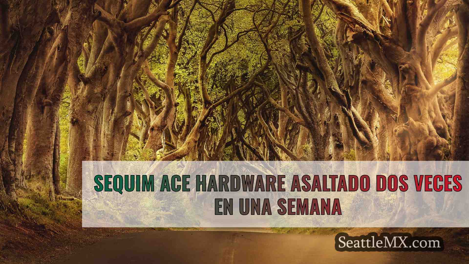 Noticias de Seattle SeattleMX