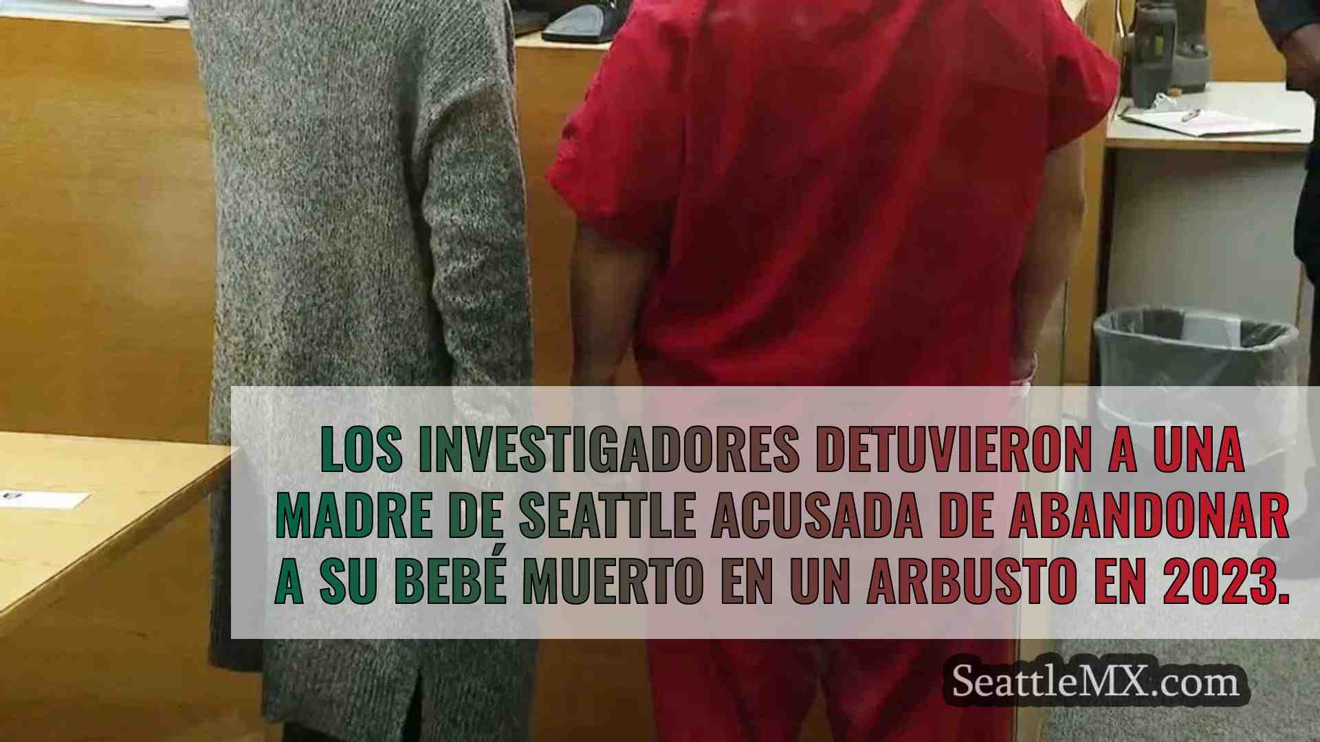 Detenida una madre de Seattle en