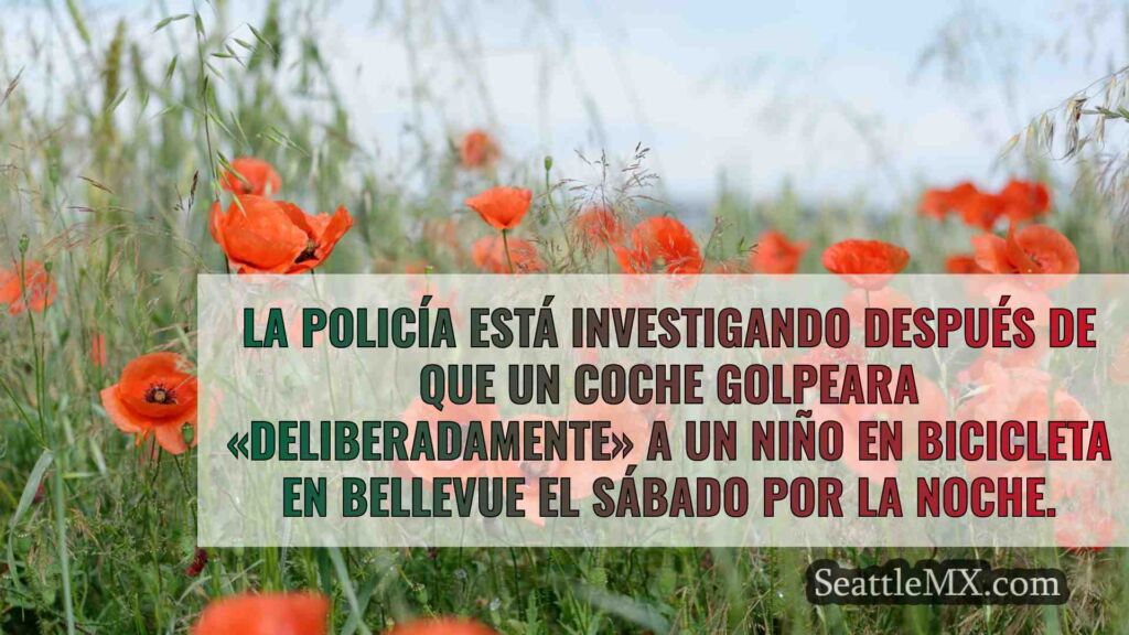 La policía encuentra un coche robado