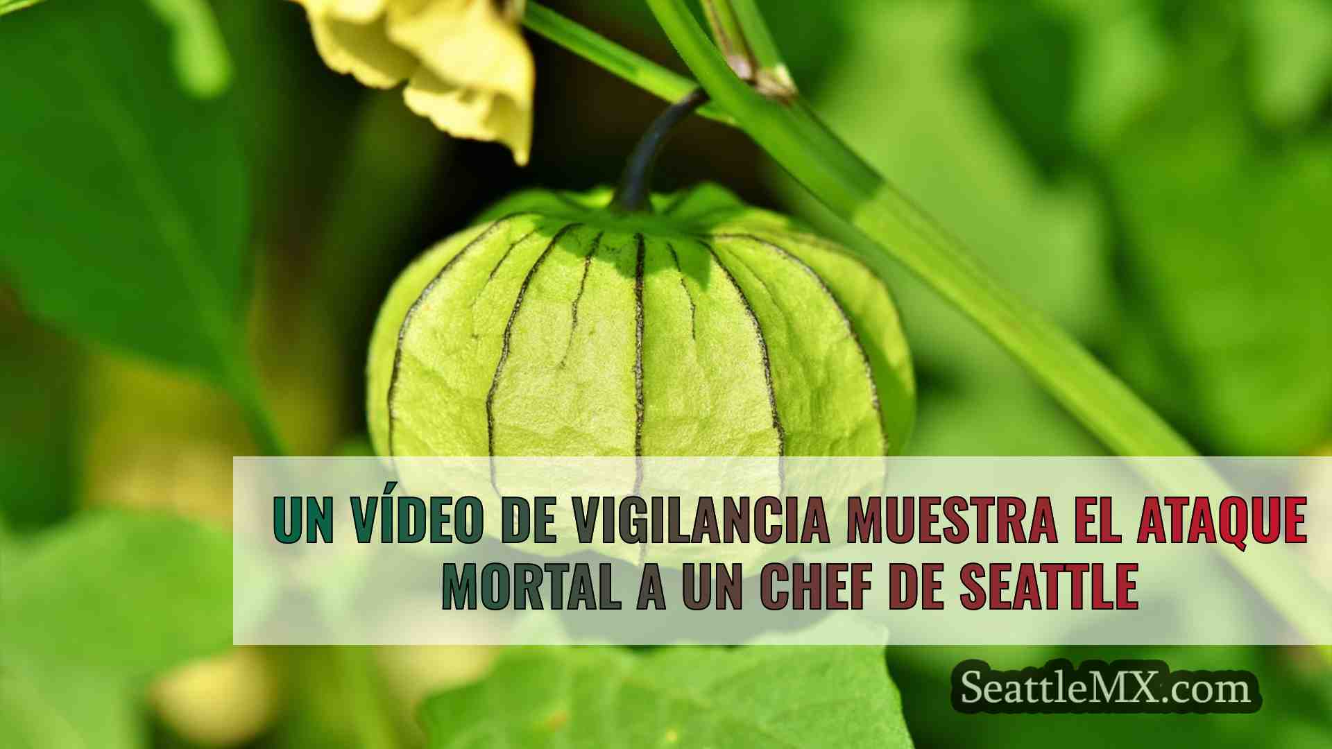 Noticias de Seattle SeattleMX
