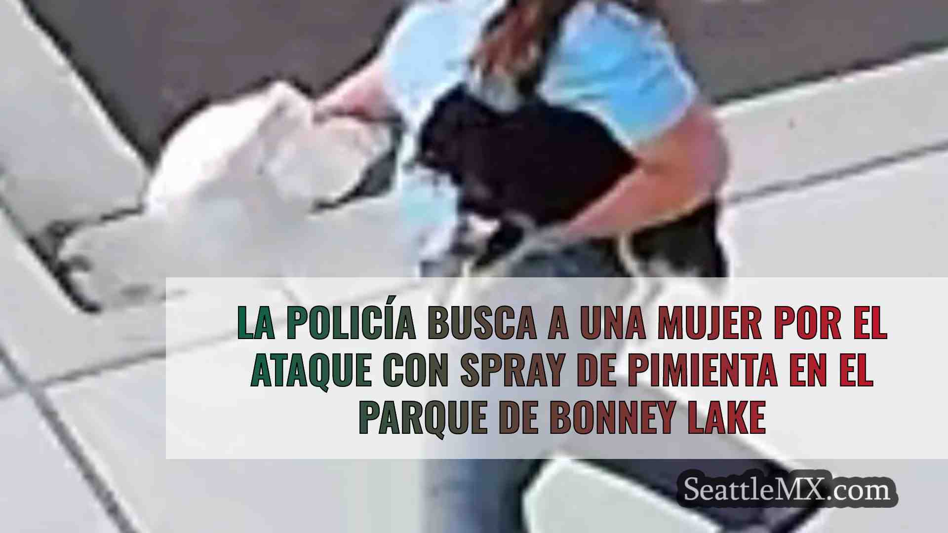 La policía busca a una mujer por el