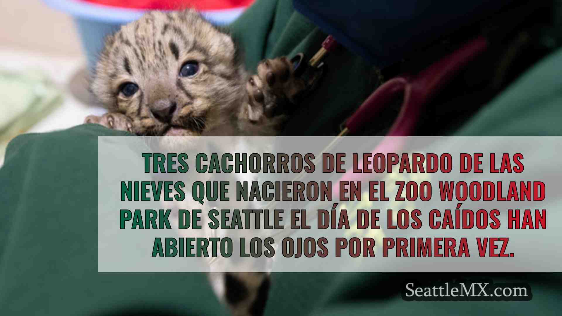 Noticias de Seattle SeattleMX