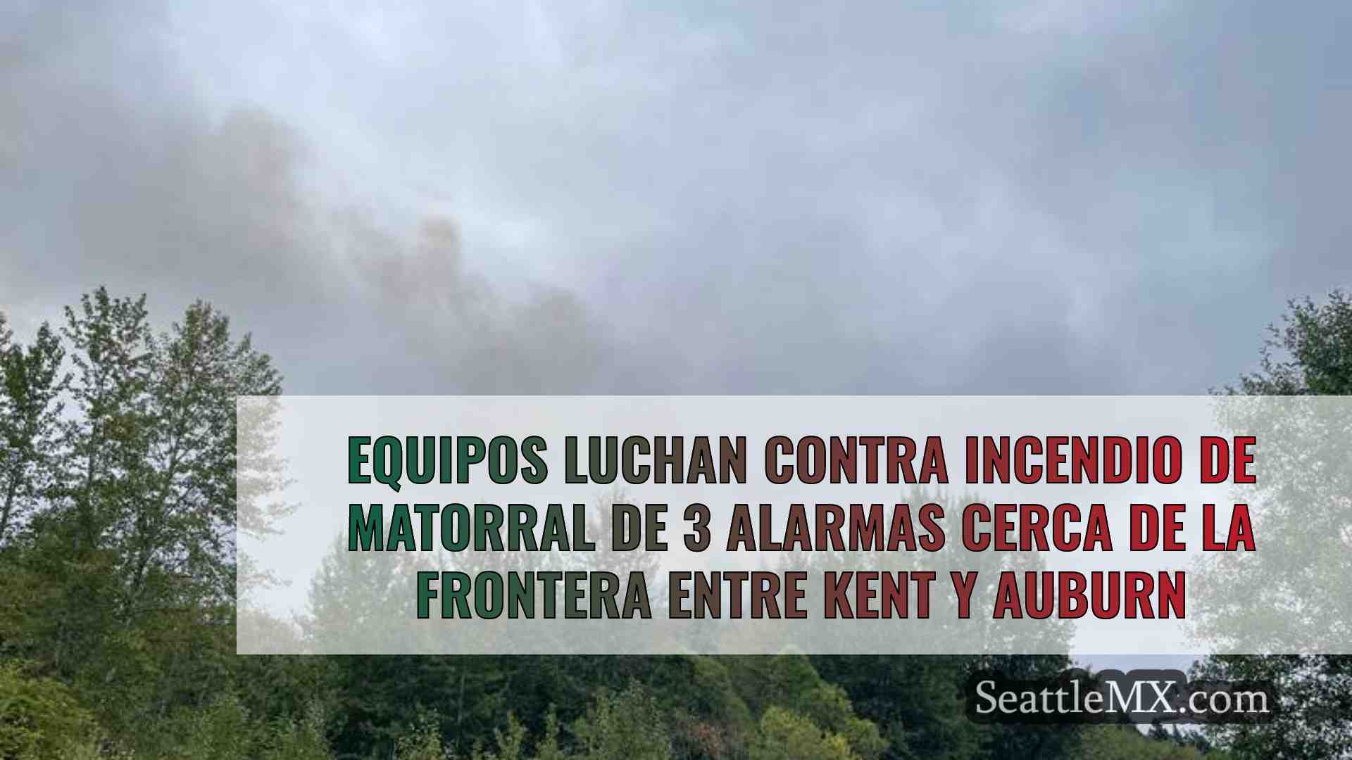 Equipos luchan contra incendio de