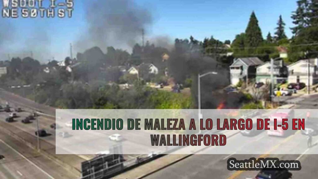 Incendio de maleza a lo largo de I-5 en