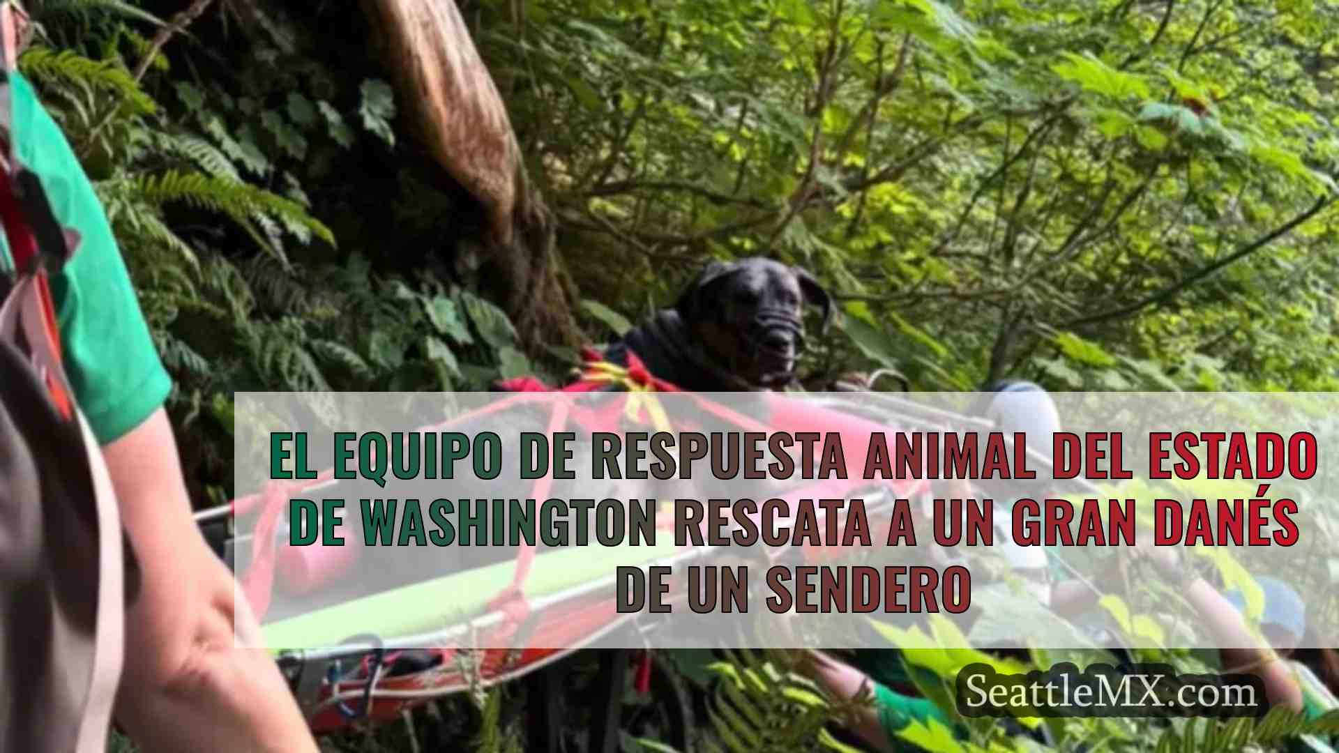 El Equipo de Respuesta Animal del