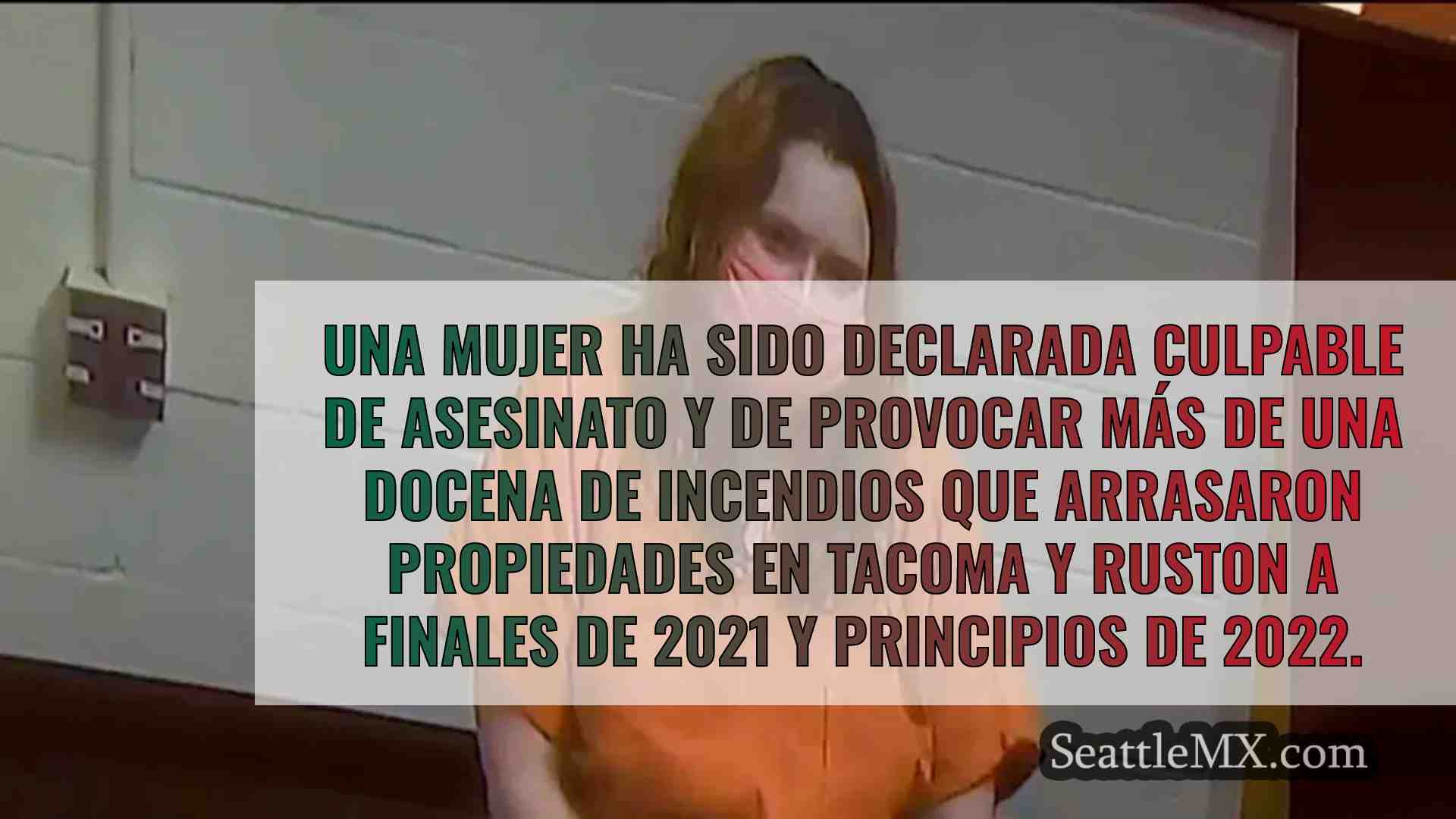 Una mujer declarada culpable de