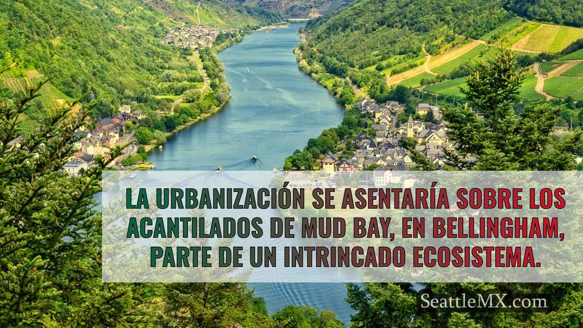 Noticias de Seattle SeattleMX