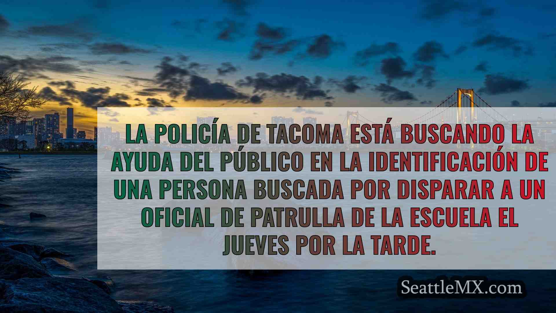 Noticias de Seattle SeattleMX