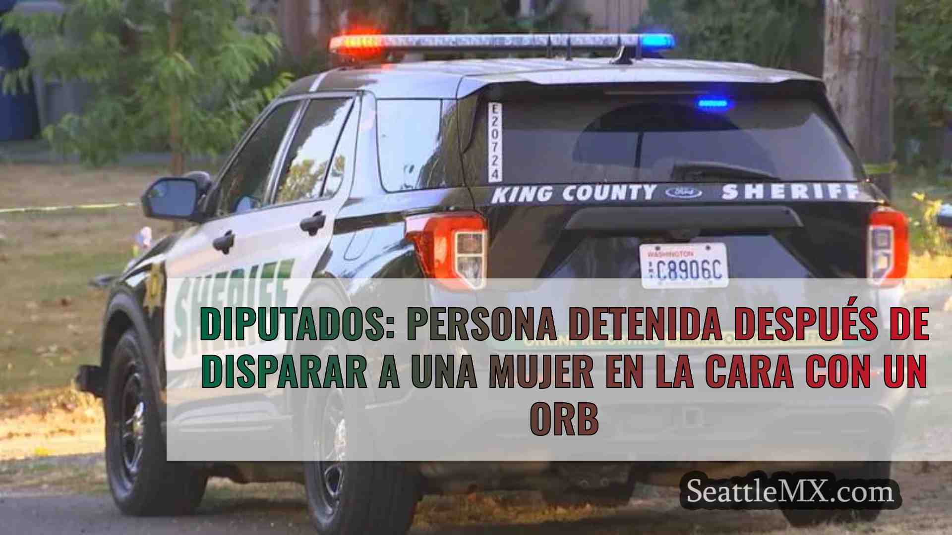 Diputados: Persona detenida después de